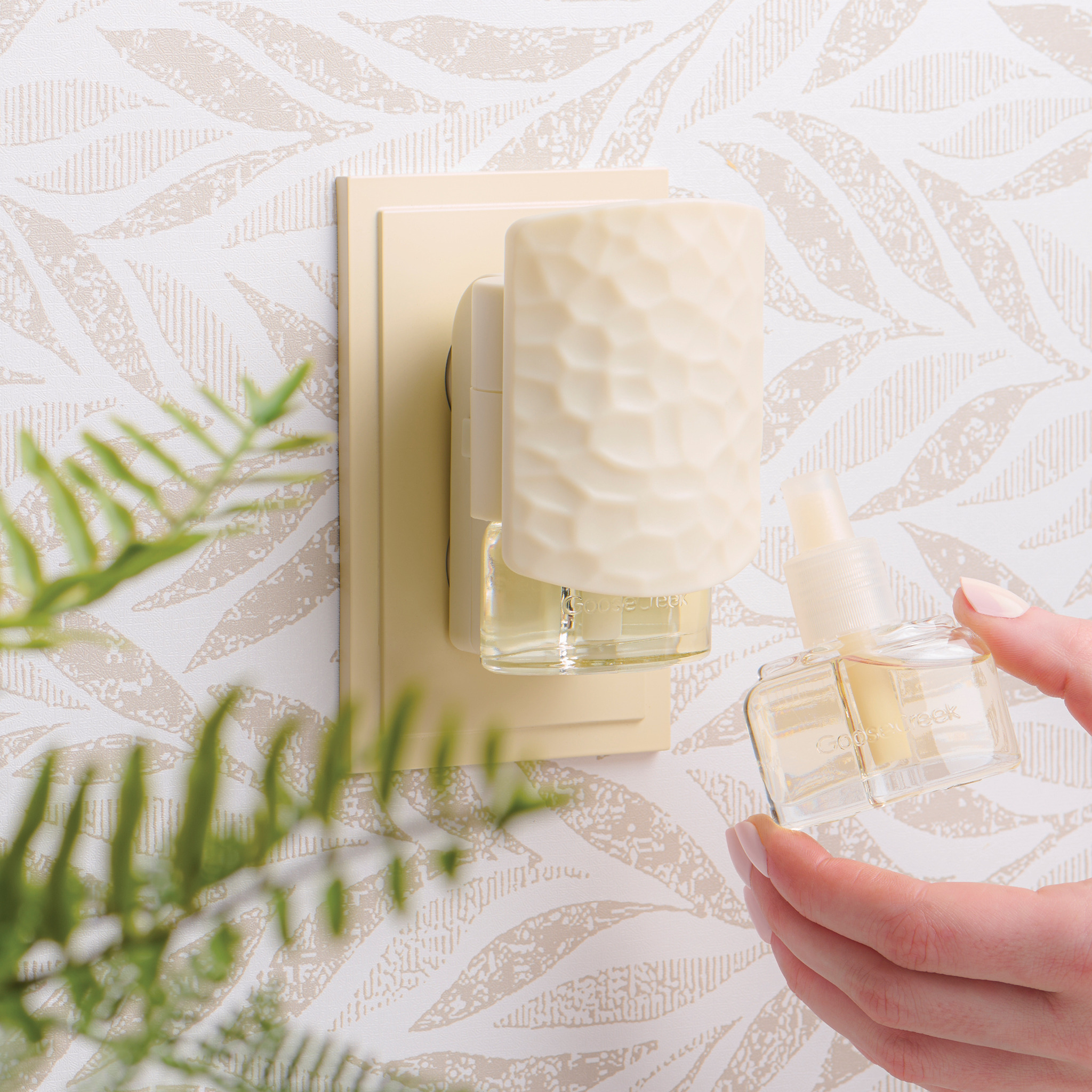 Long-Lasting Scents for Every Room