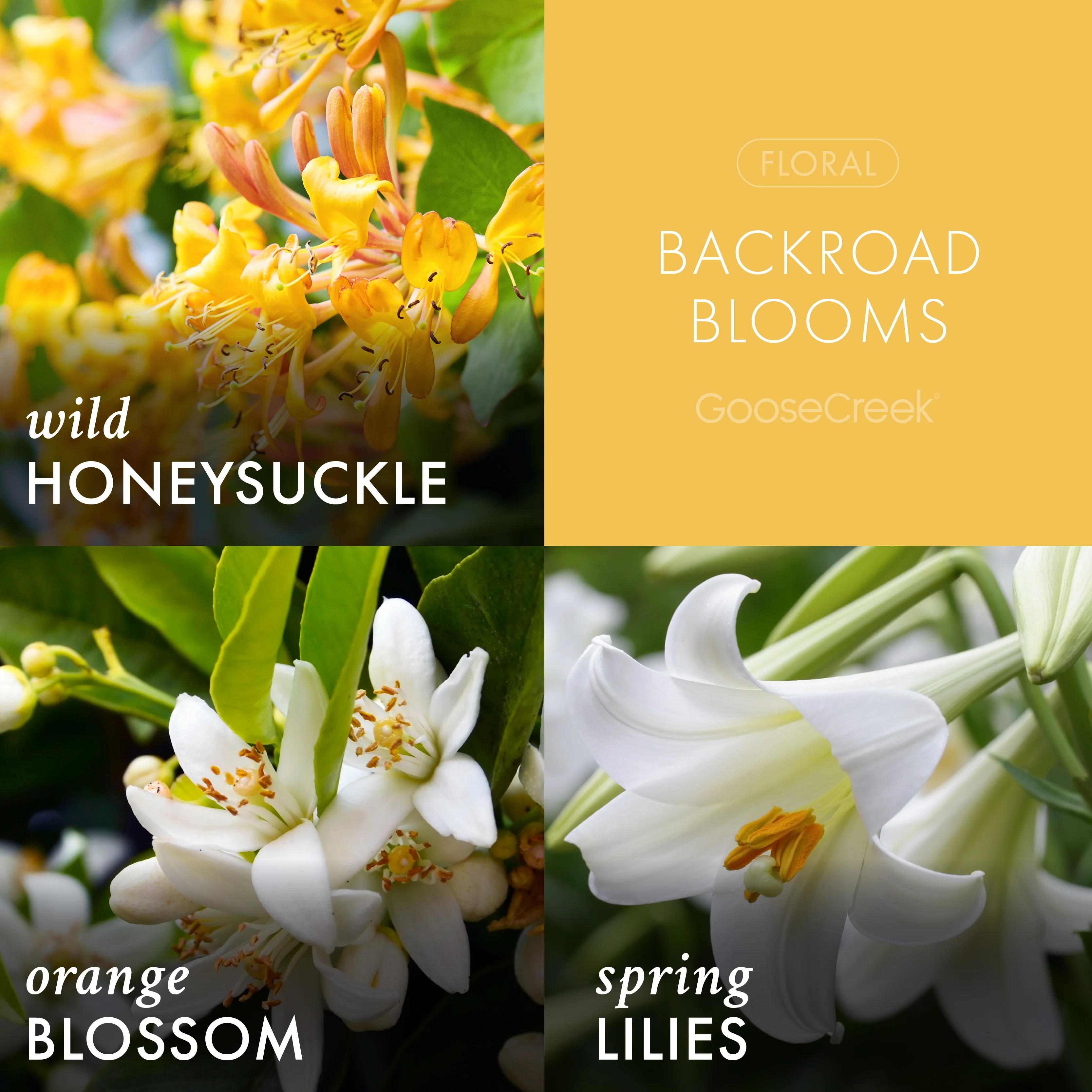 Backroad Blooms 3-Wick Candle - Image 2