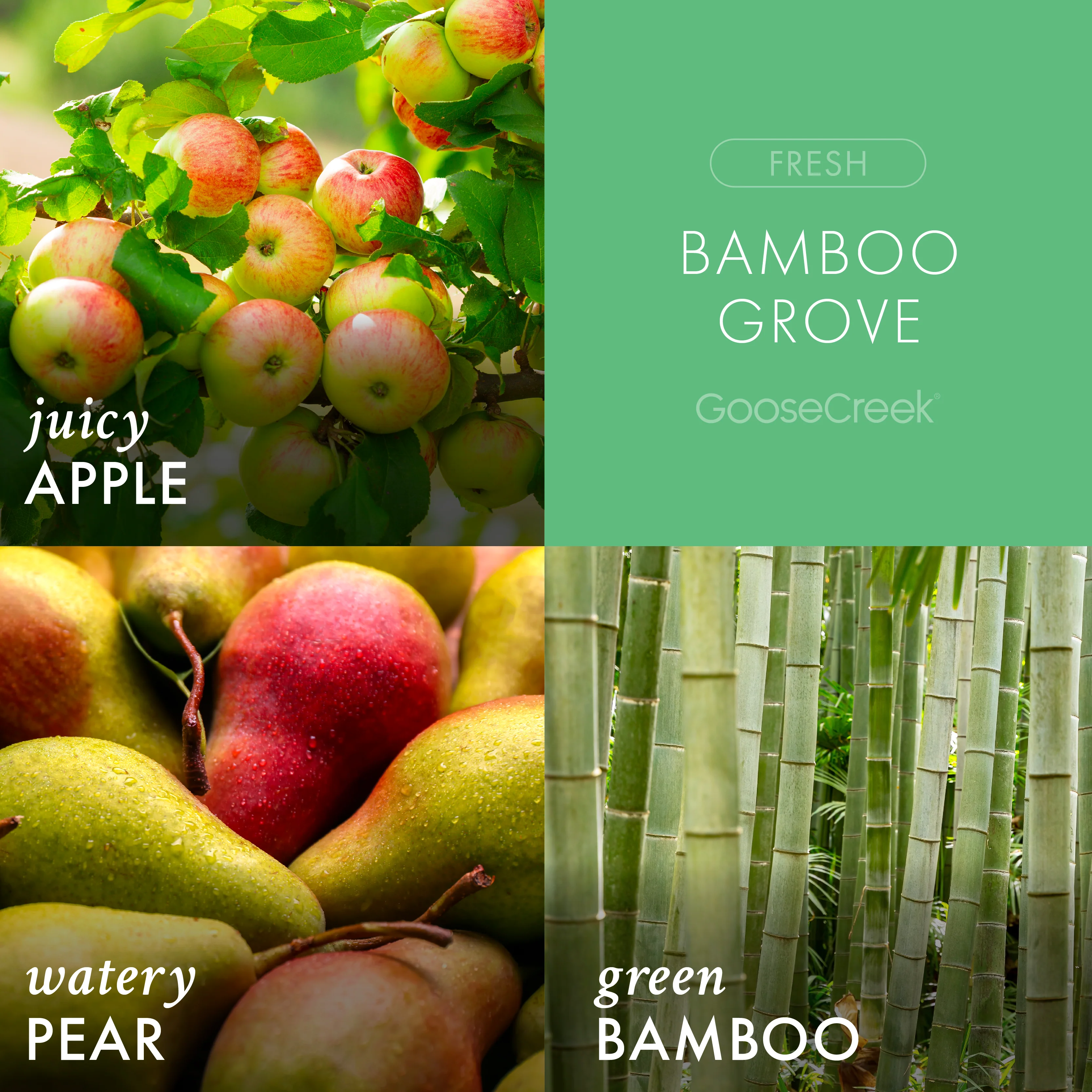 Bamboo Grove 3-Wick Candle - Image 2