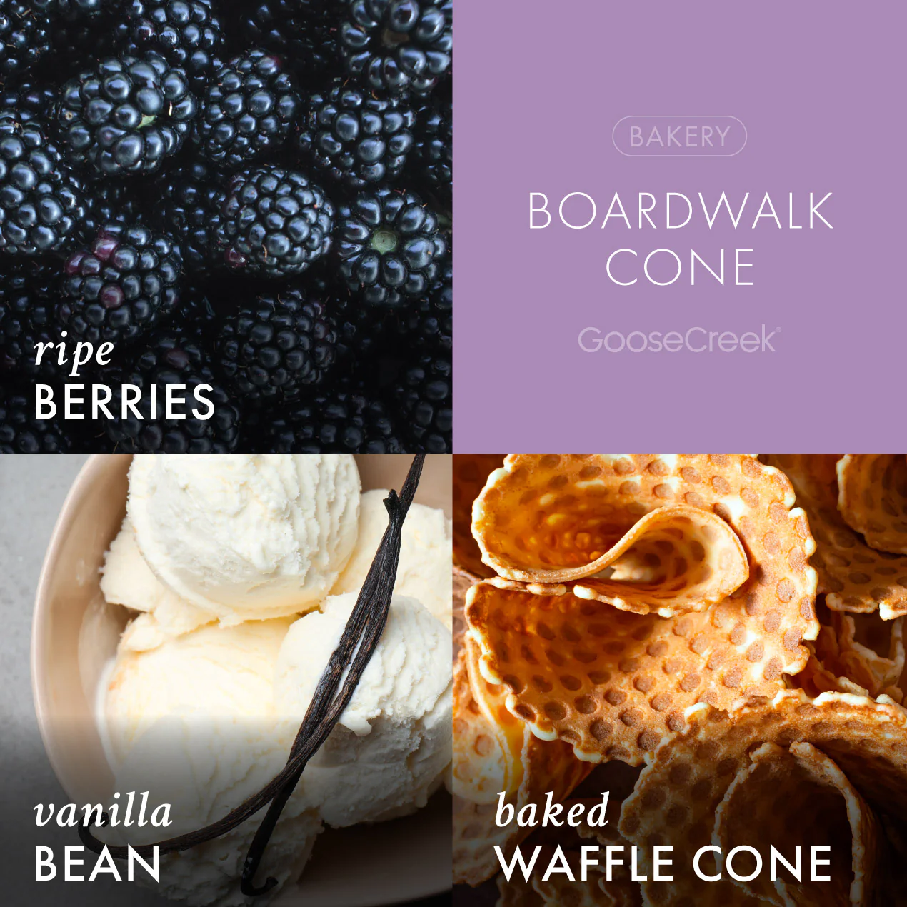 Boardwalk Cone Wax Melt - Image 2