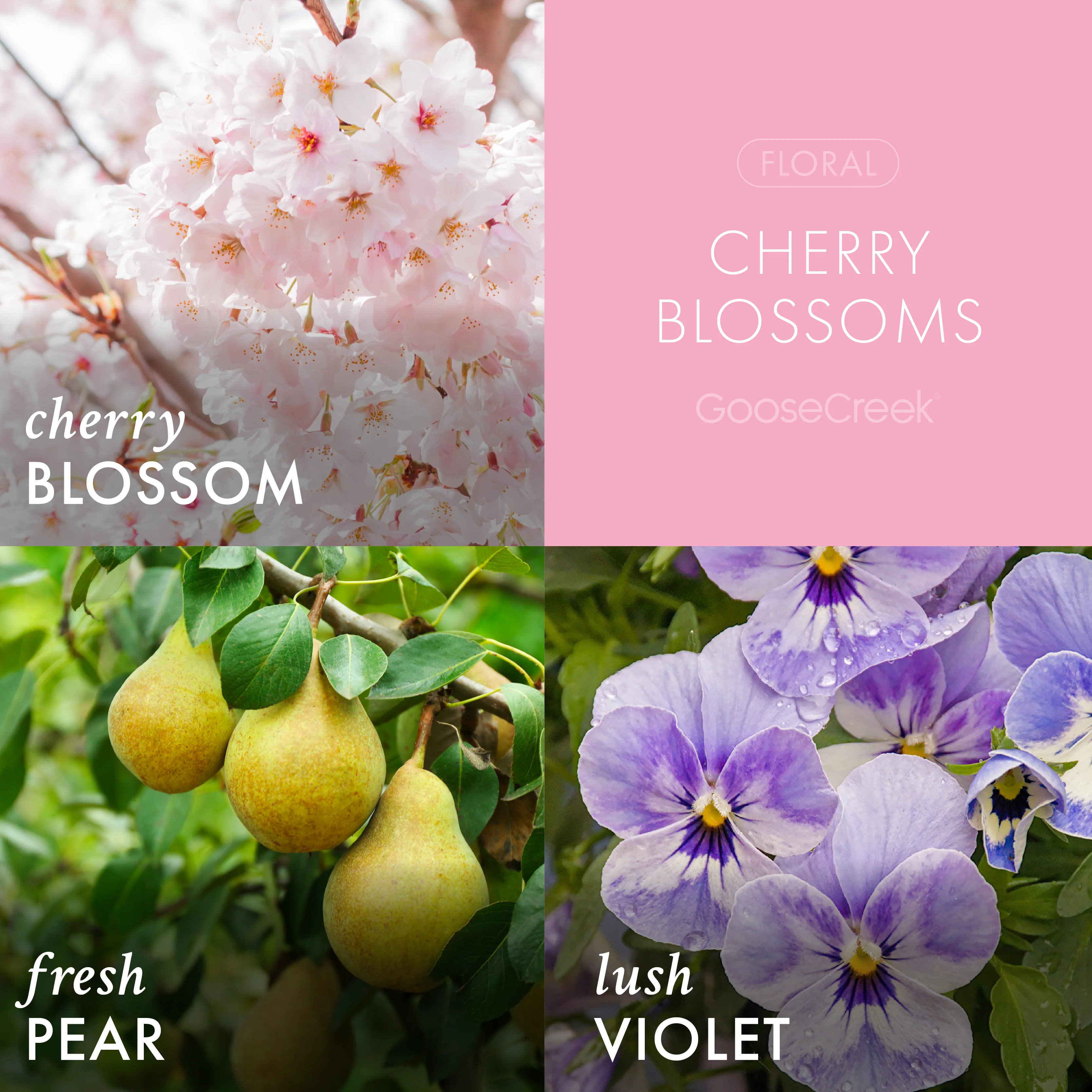 Cherry Blossoms 3-Wick Candle - Image 2