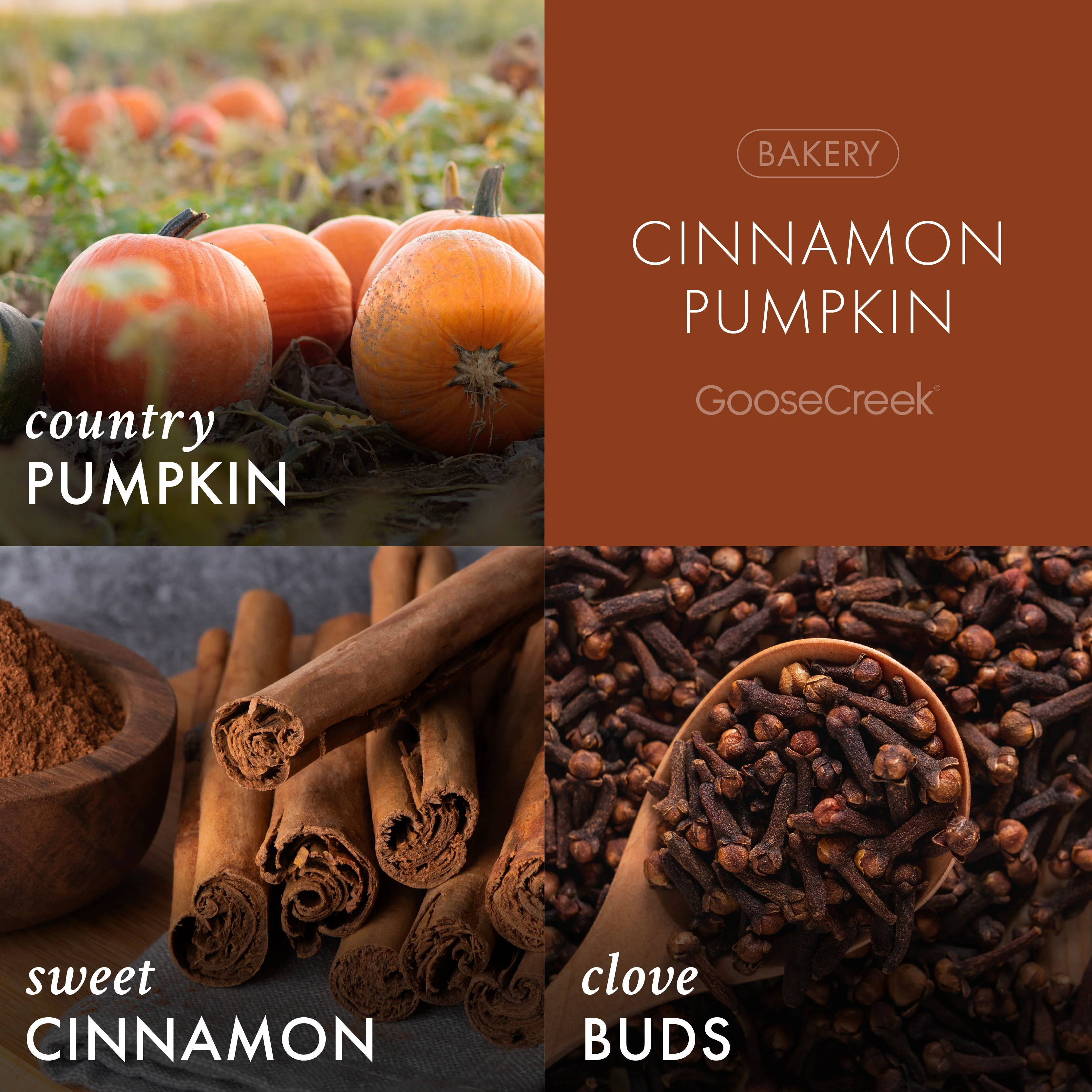 Cinnamon Pumpkin 3-Wick Candle - Image 2