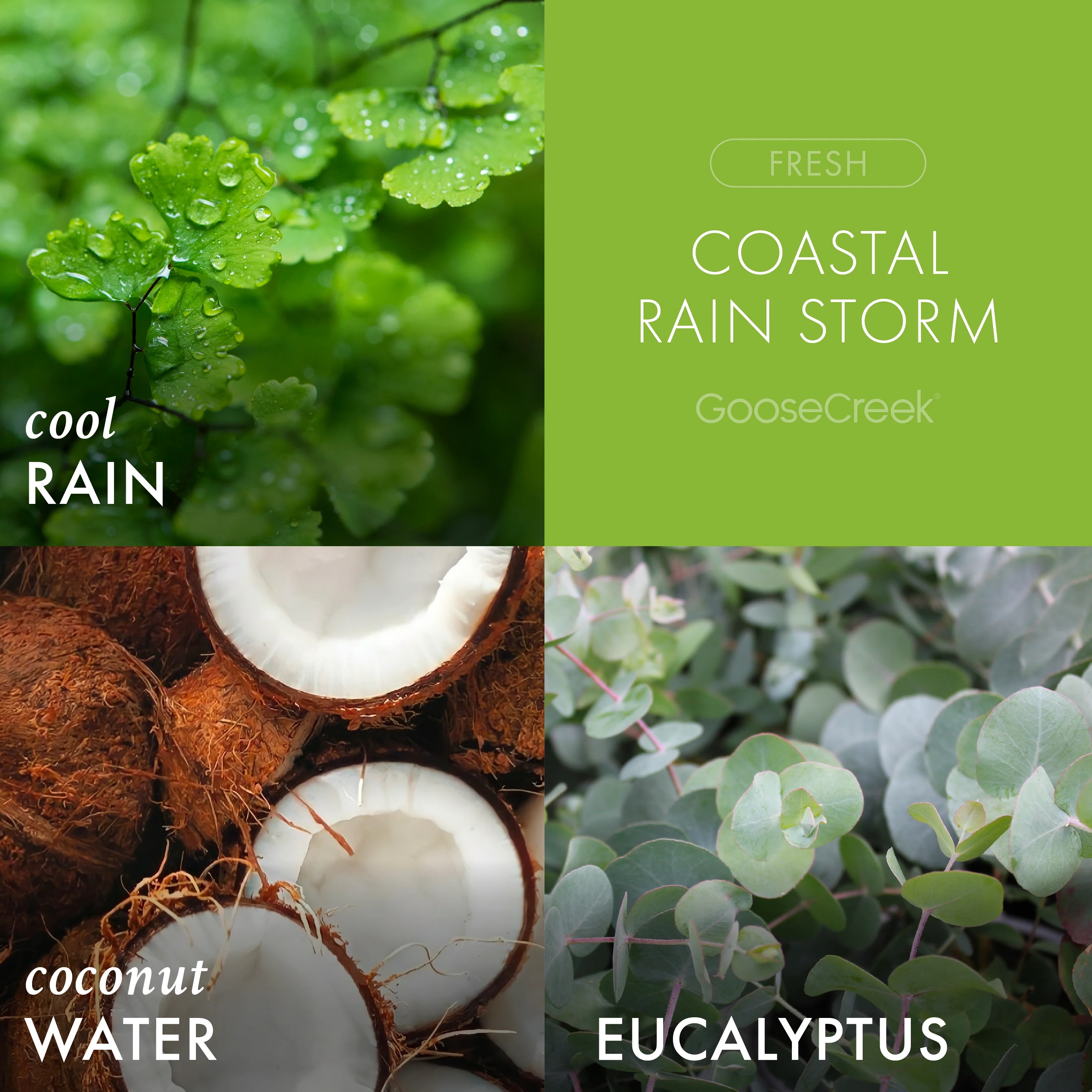 Coastal Rain Storm 3-Wick Candle - Image 2