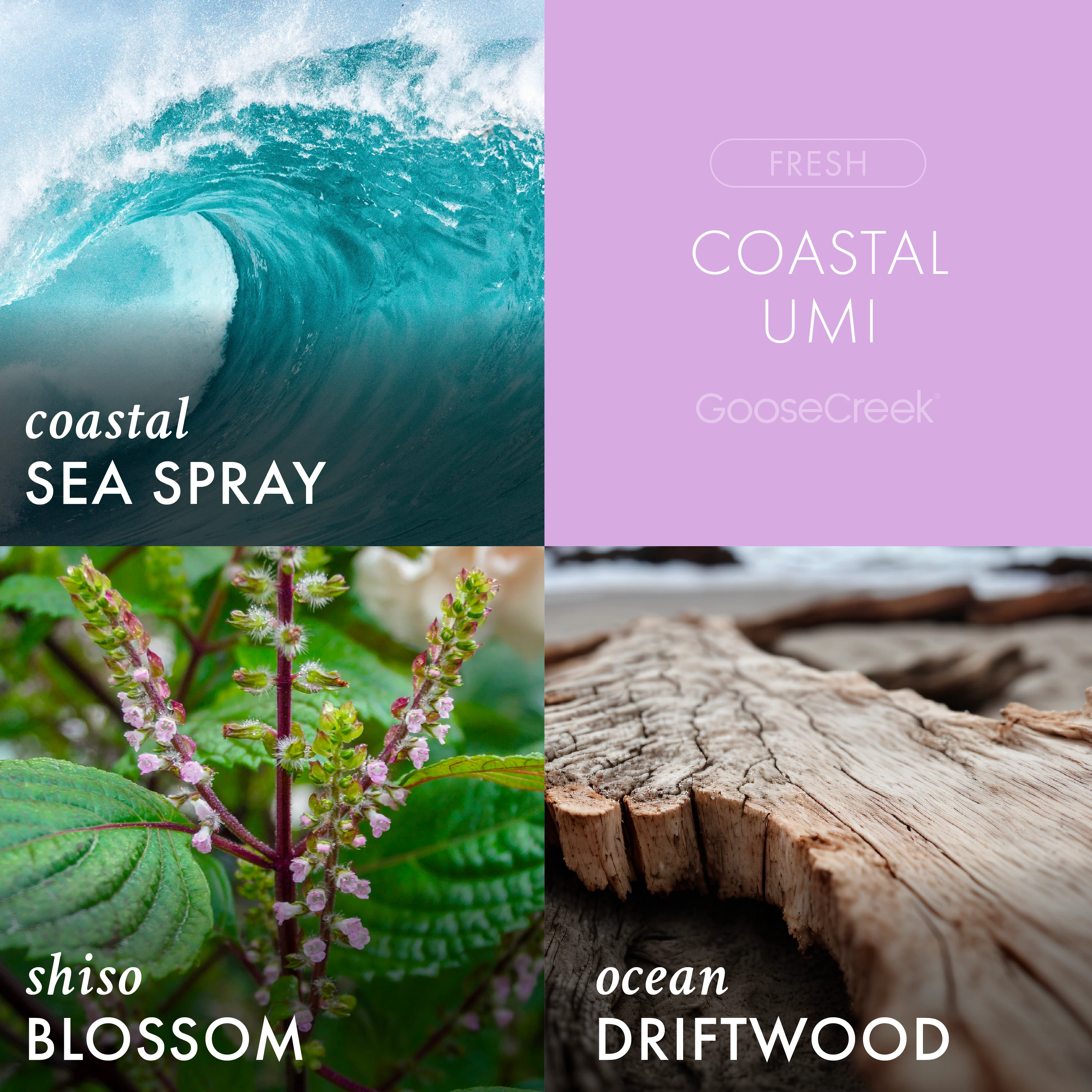 Coastal Umi 3-Wick Candle - Image 2