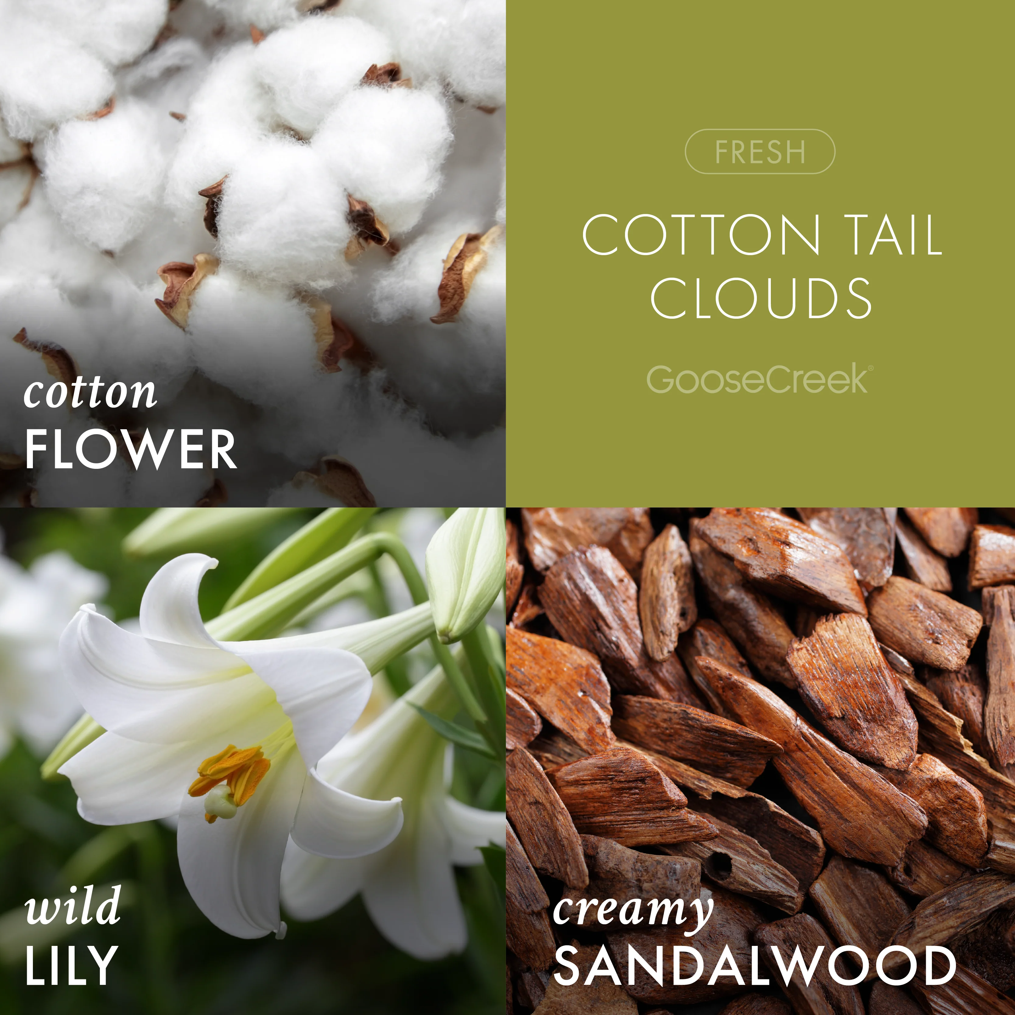 Cotton Tail Clouds 3-Wick Candle - Image 2