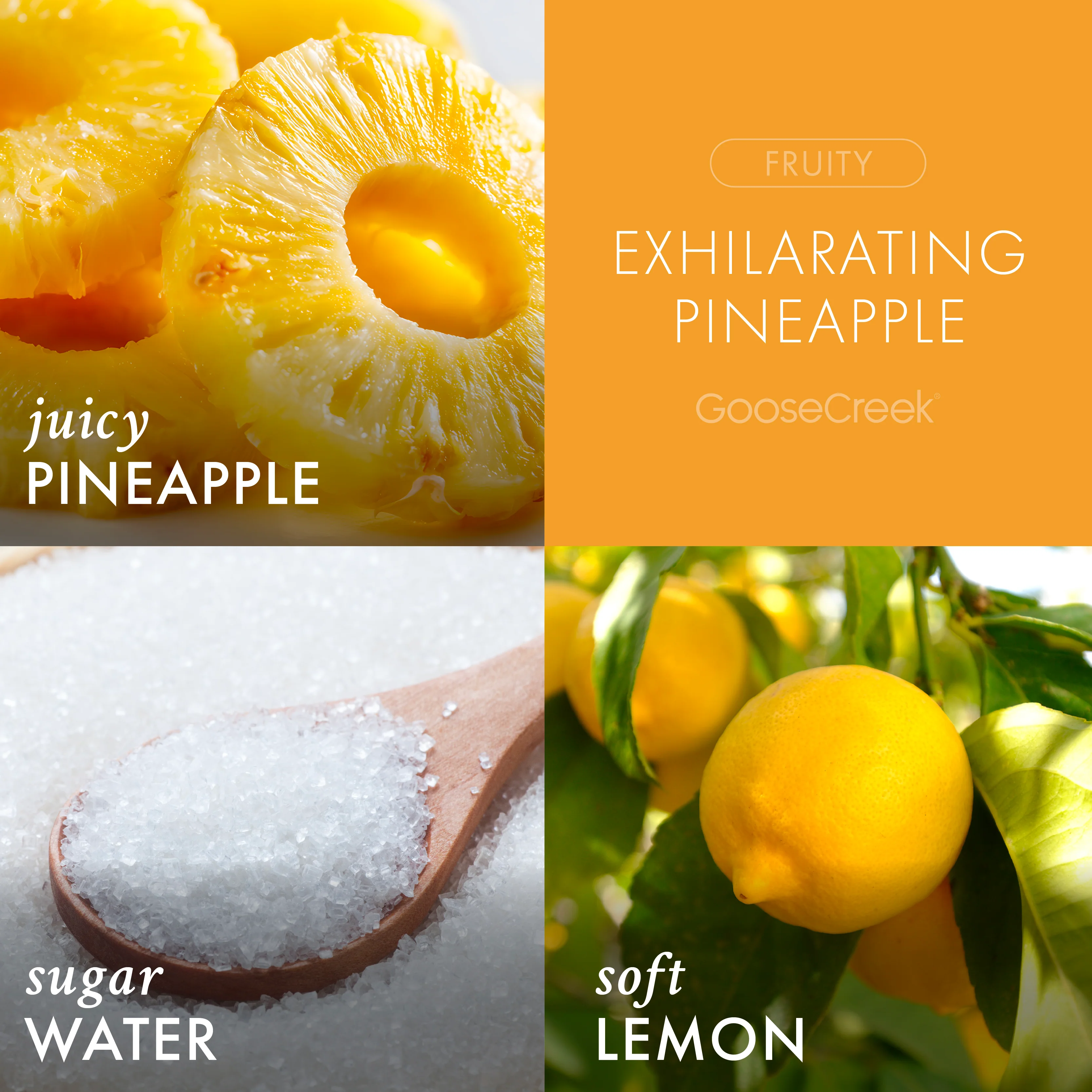 Exhilarating Pineapple 3-Wick Candle - Image 2