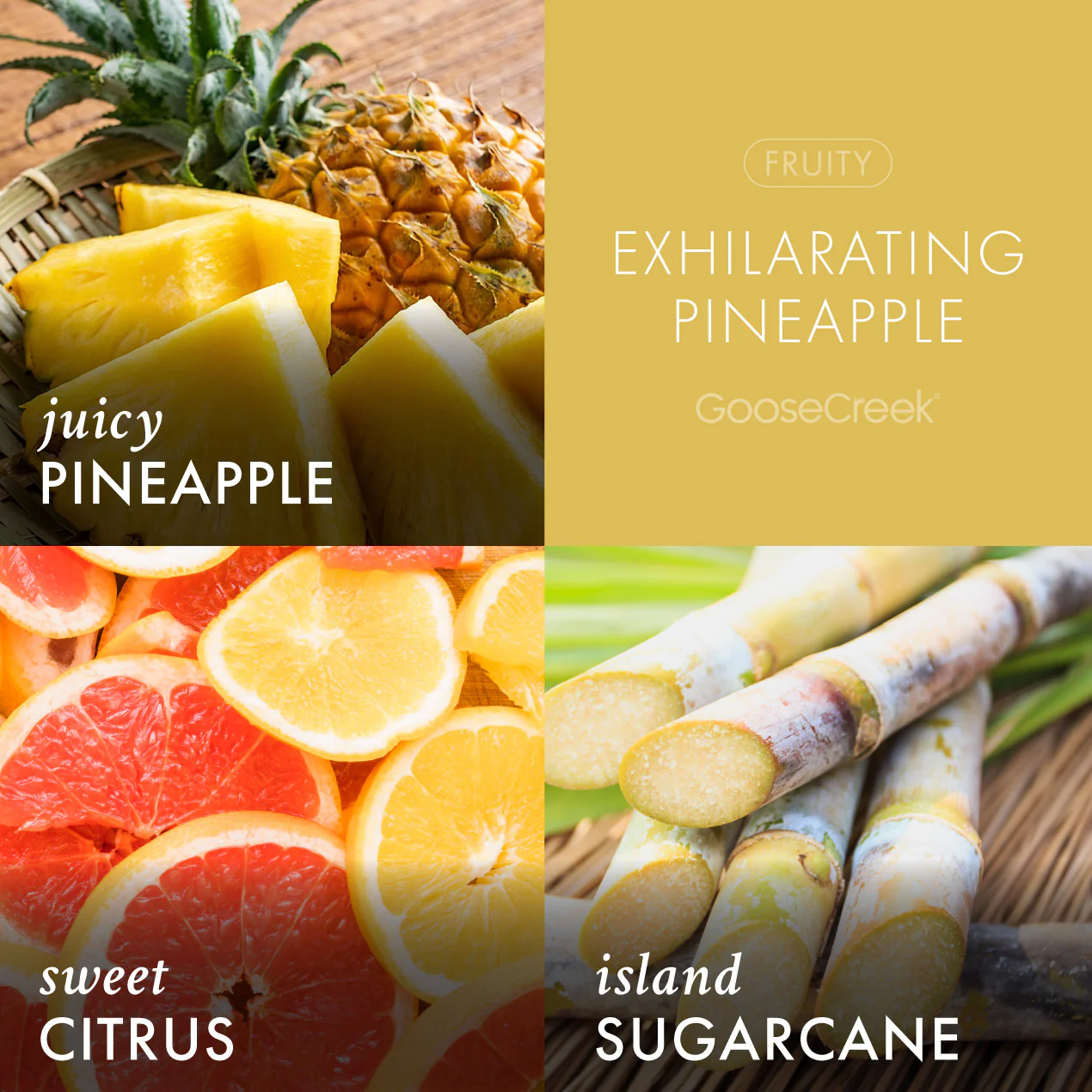 Exhilarating Pineapple Wax Melt - Image 2