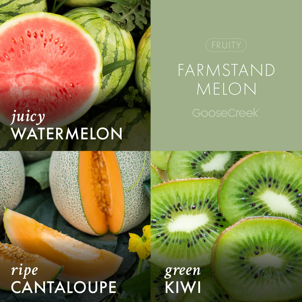 Farmstand Melon Wax Melt - Image 2