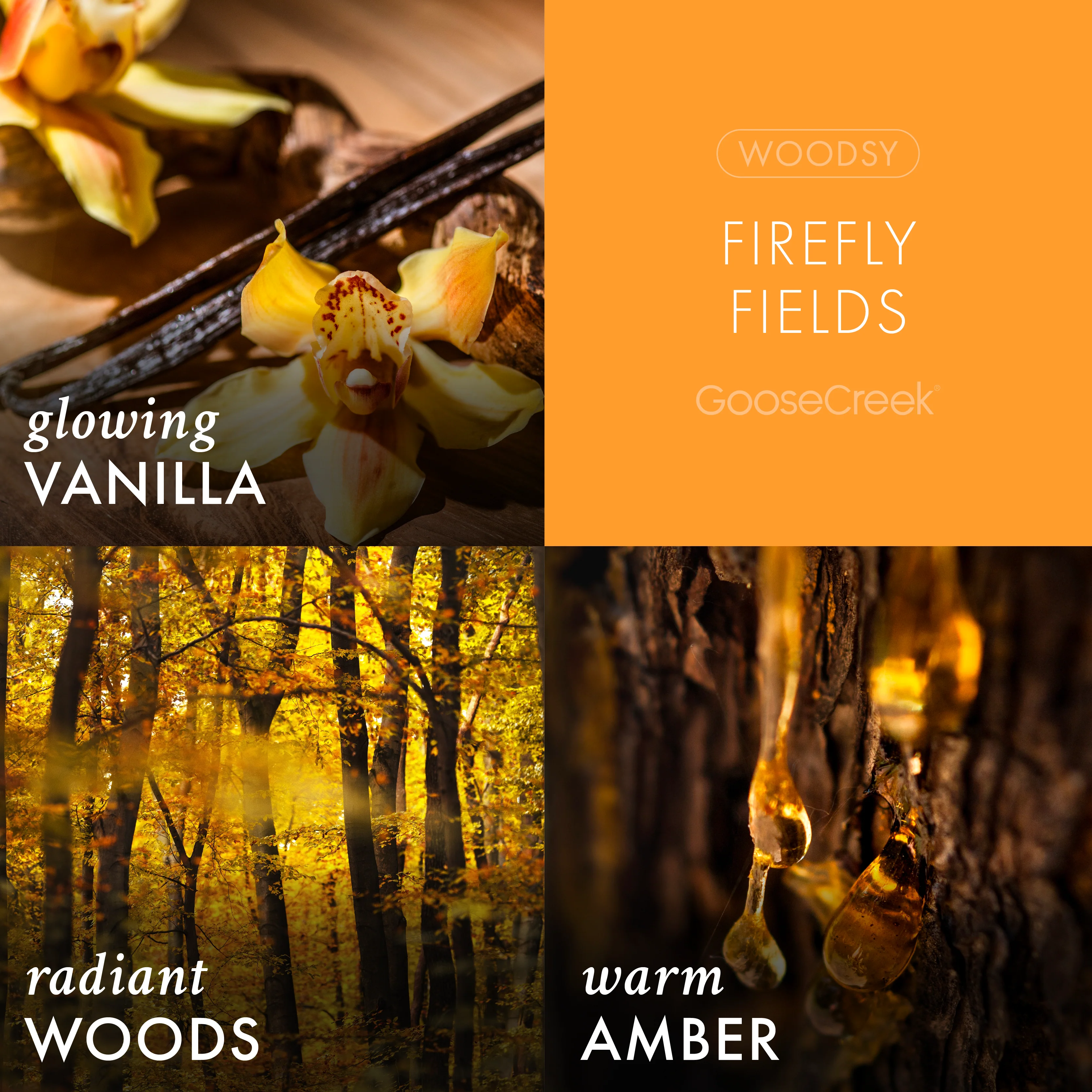 Firefly Fields 3-Wick Candle - Image 2
