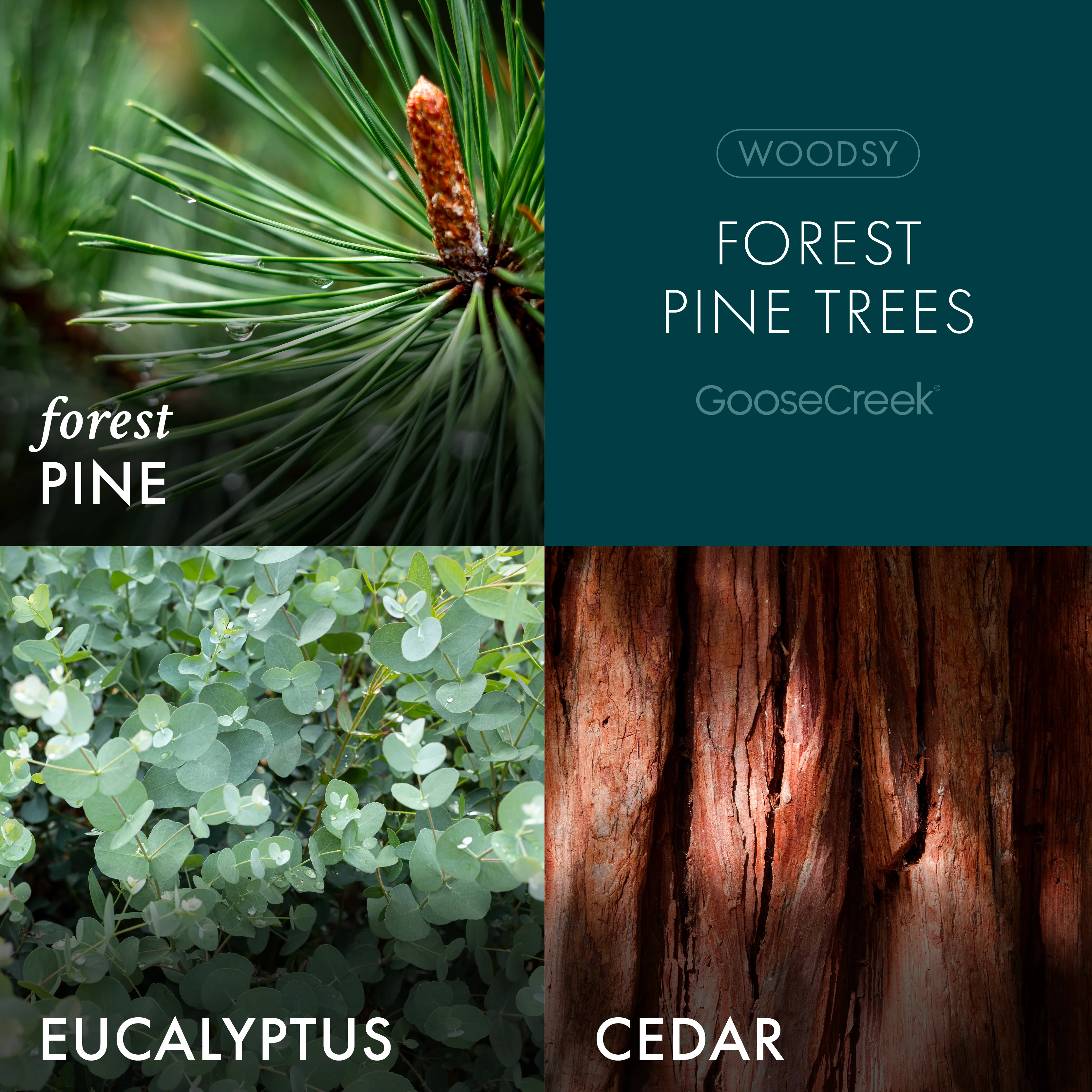 Forest Pine Trees 3-Wick Candle - Image 2