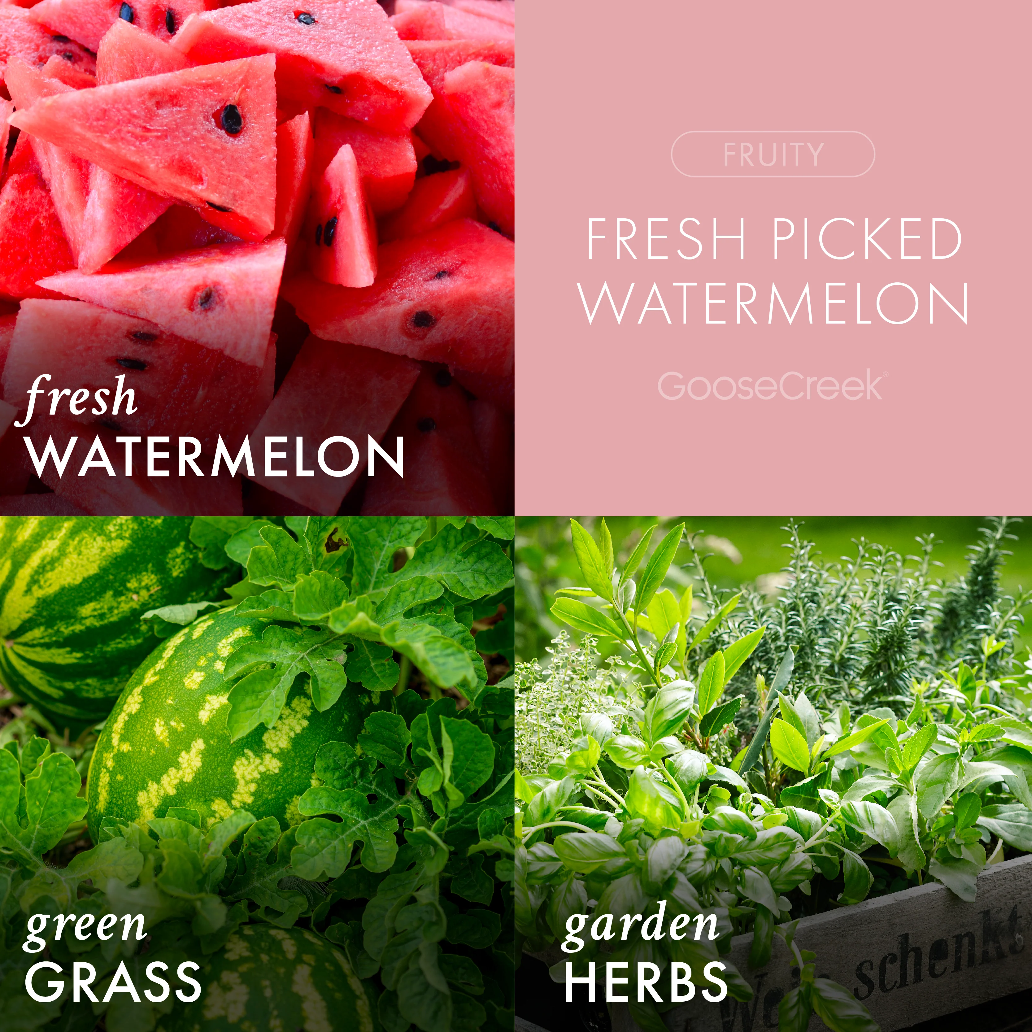 Fresh Picked Watermelon 3-Wick Candle - Image 2