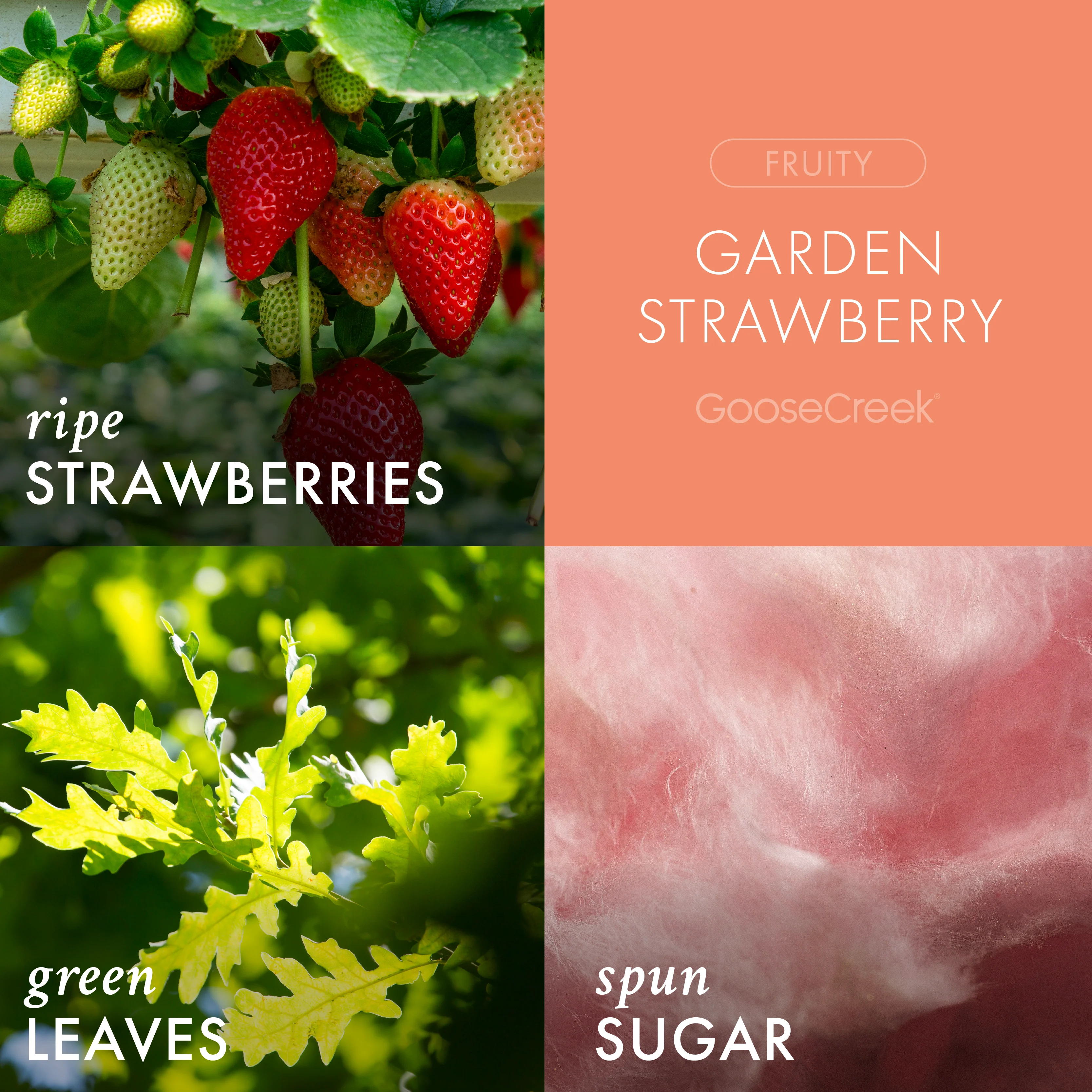 Garden Strawberry 3-Wick Candle - Image 2