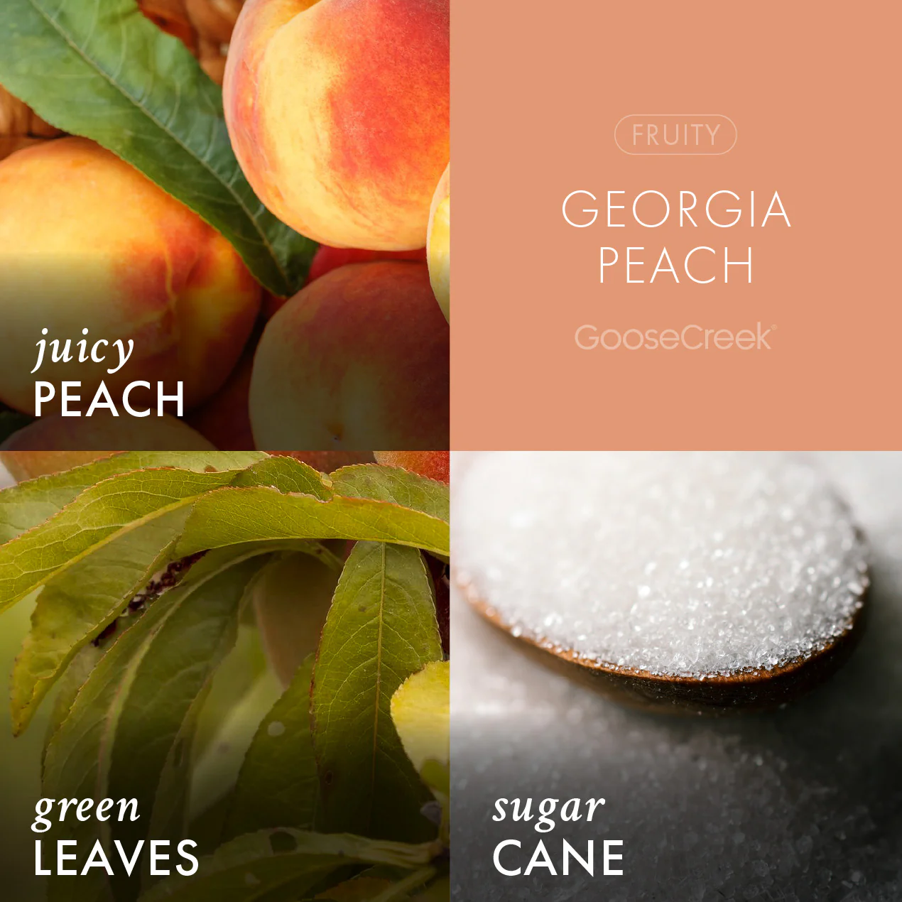Georgia Peach Wax Melt - Image 2