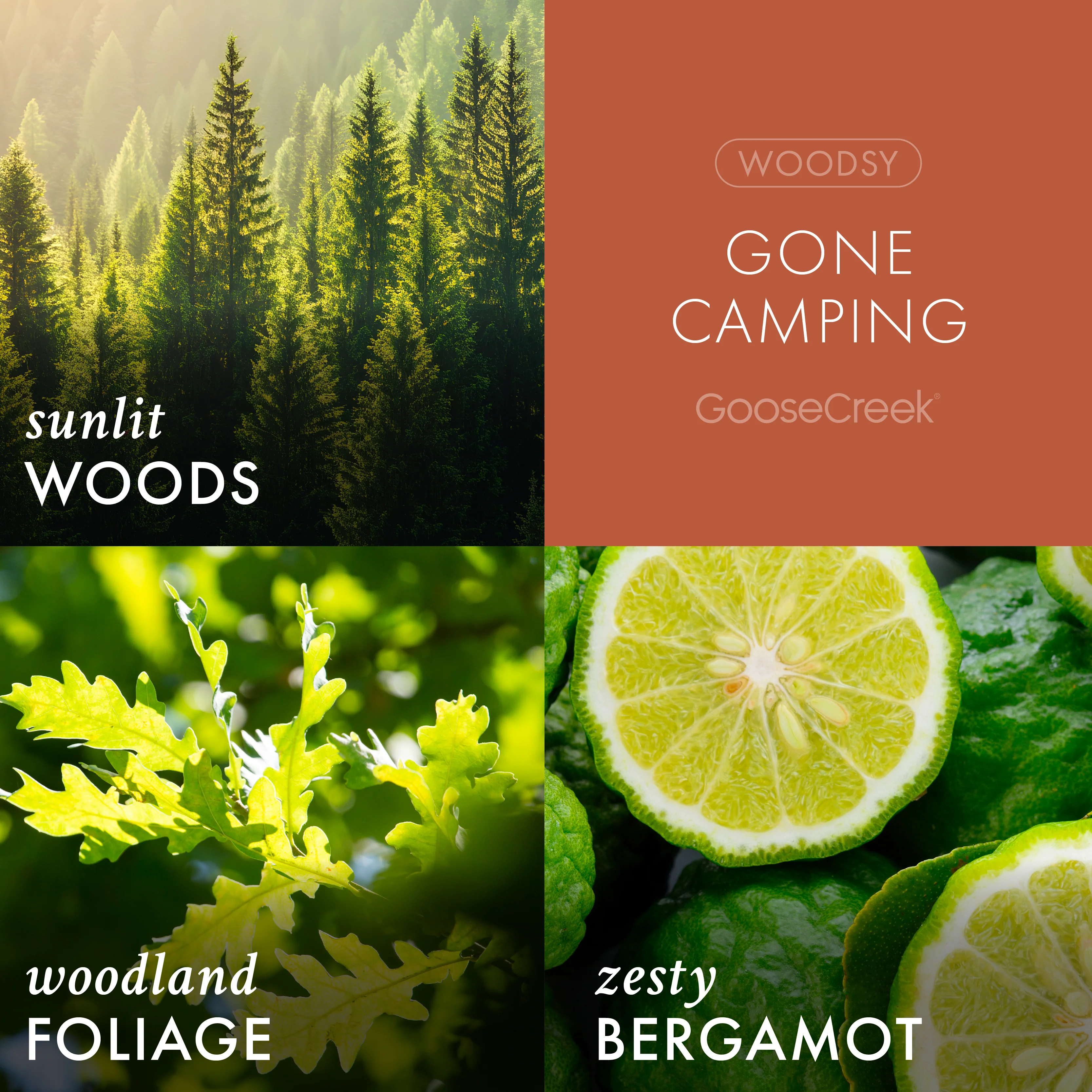 Gone Camping 3-Wick Candle - Image 2