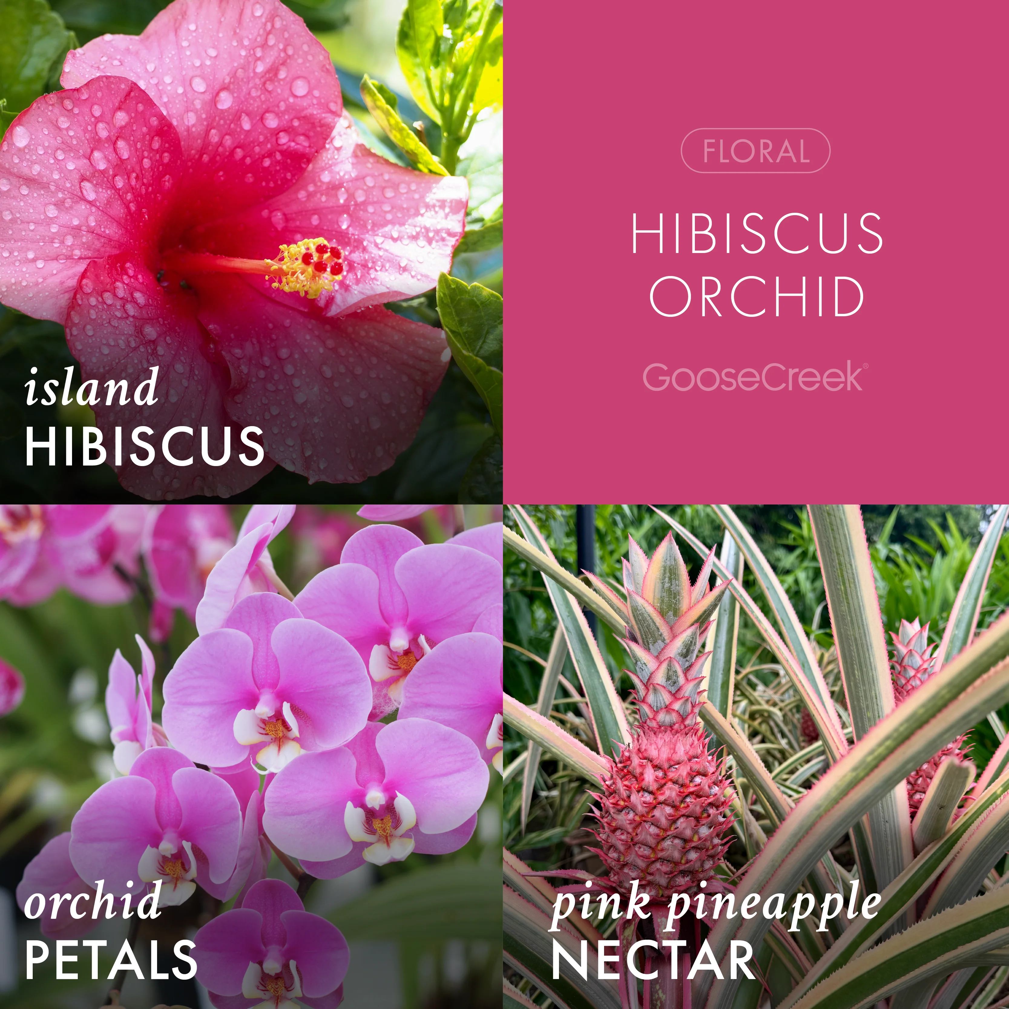 Hibiscus Orchid 3-Wick Candle - Image 2