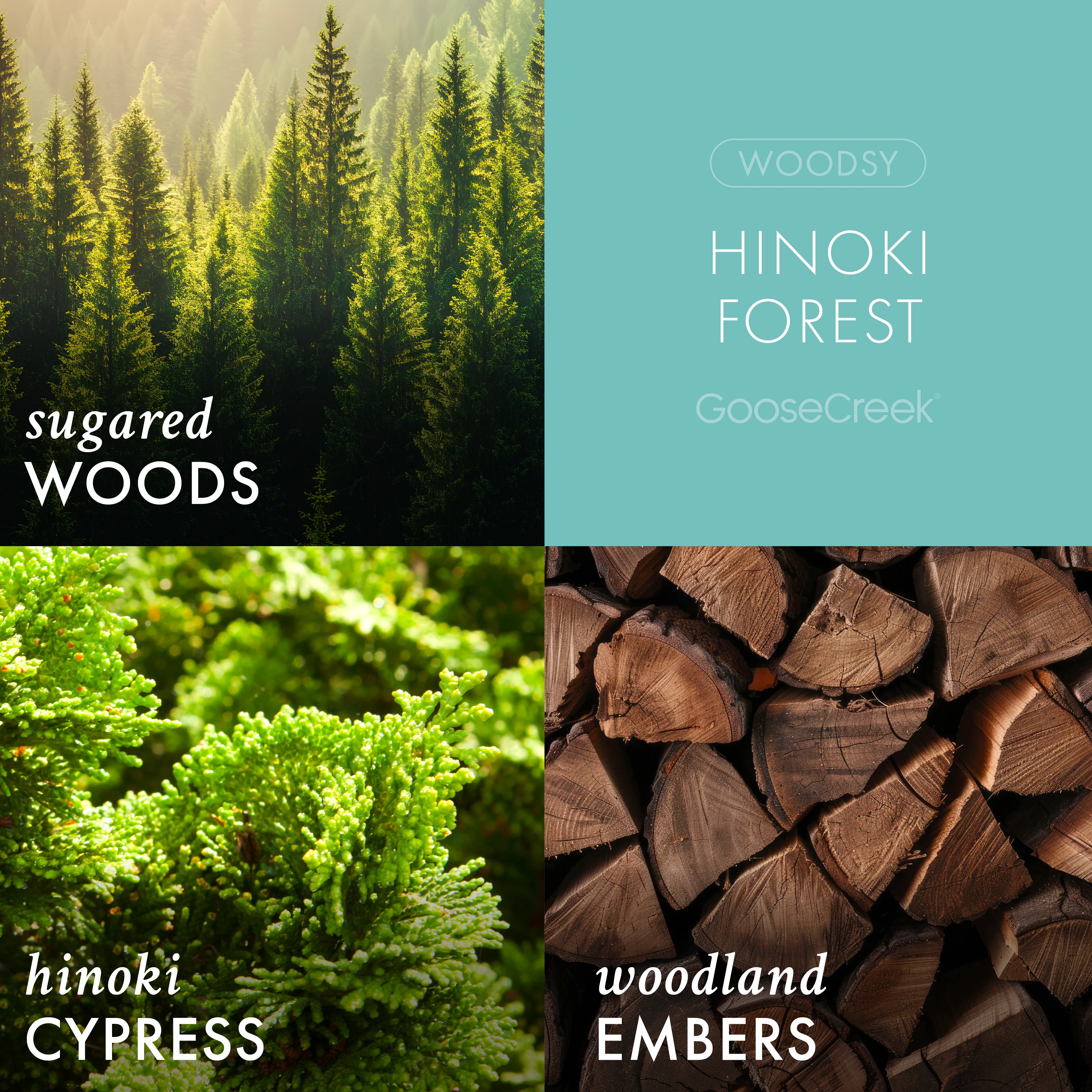 Hinoki Forest 3-Wick Candle - Image 2