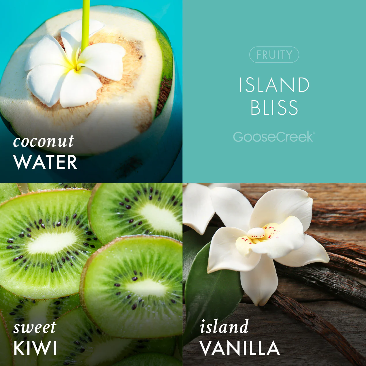 Island Bliss Lush Foaming Hand Soap - Image 3