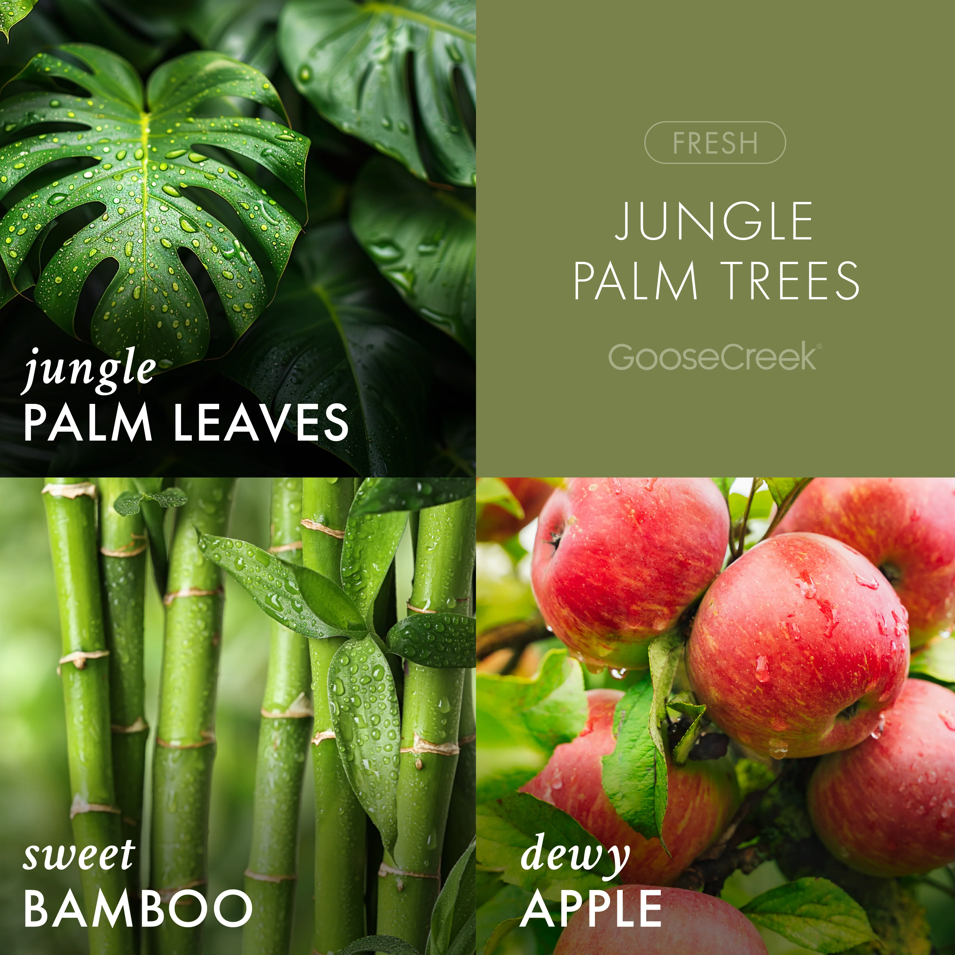 Jungle Palm Trees 3-Wick Candle - Image 2