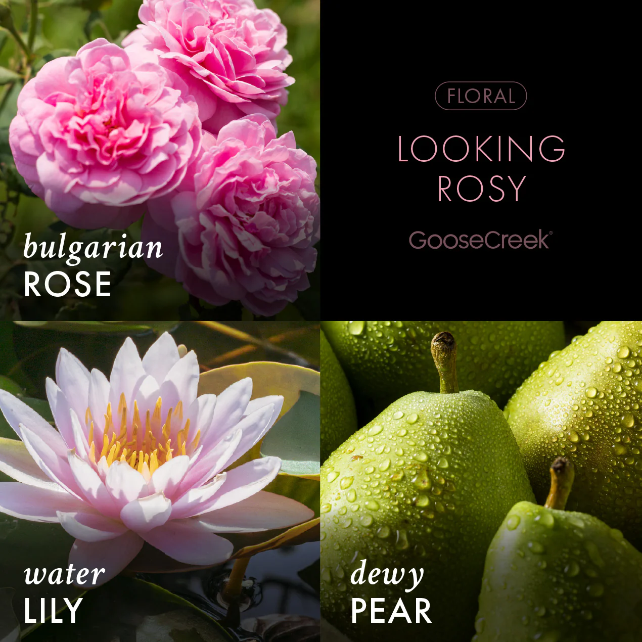 Looking Rosy - Fine Fragrance Body Mist - Image 2