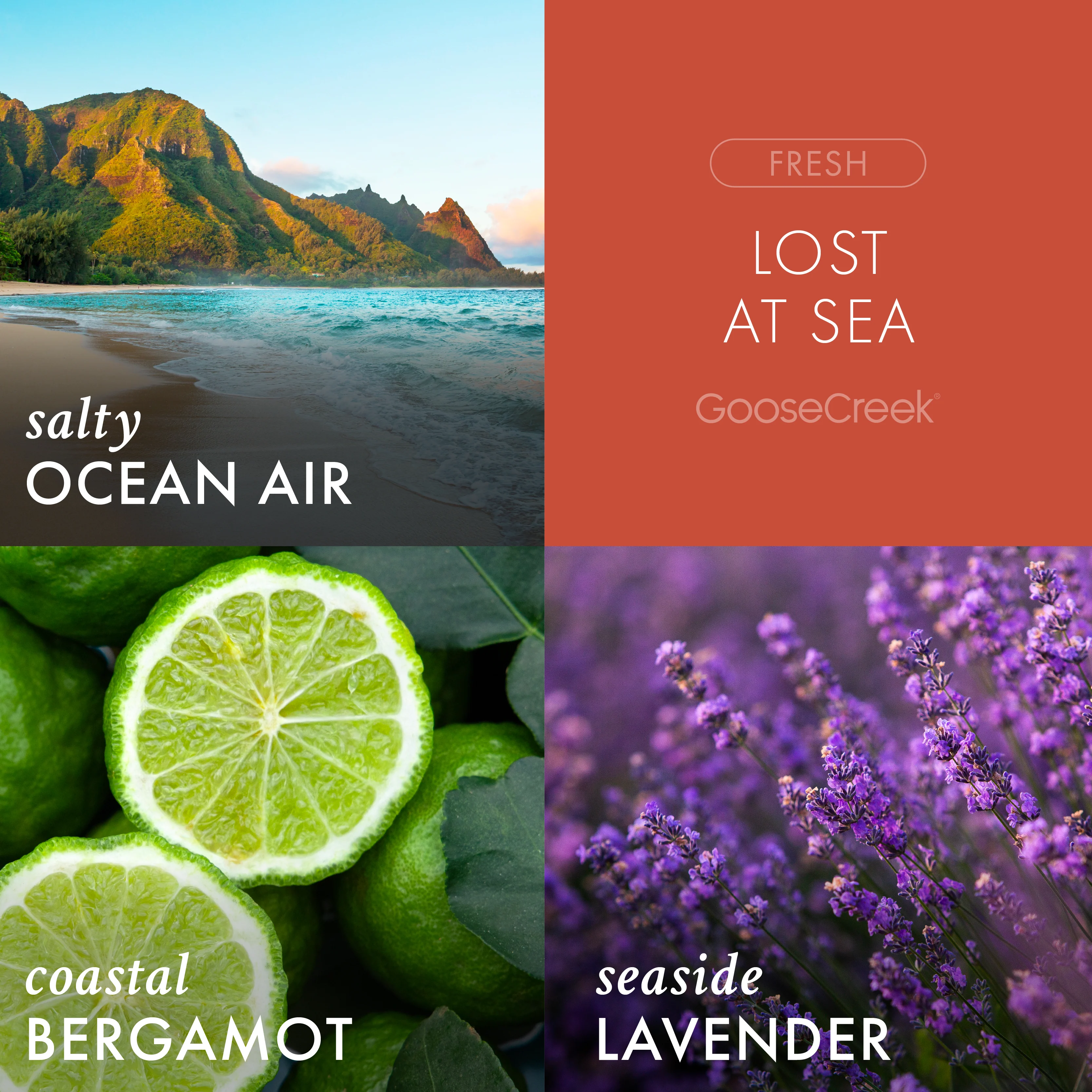 Lost at Sea Odor Eliminating 3-Wick Candle - Image 2