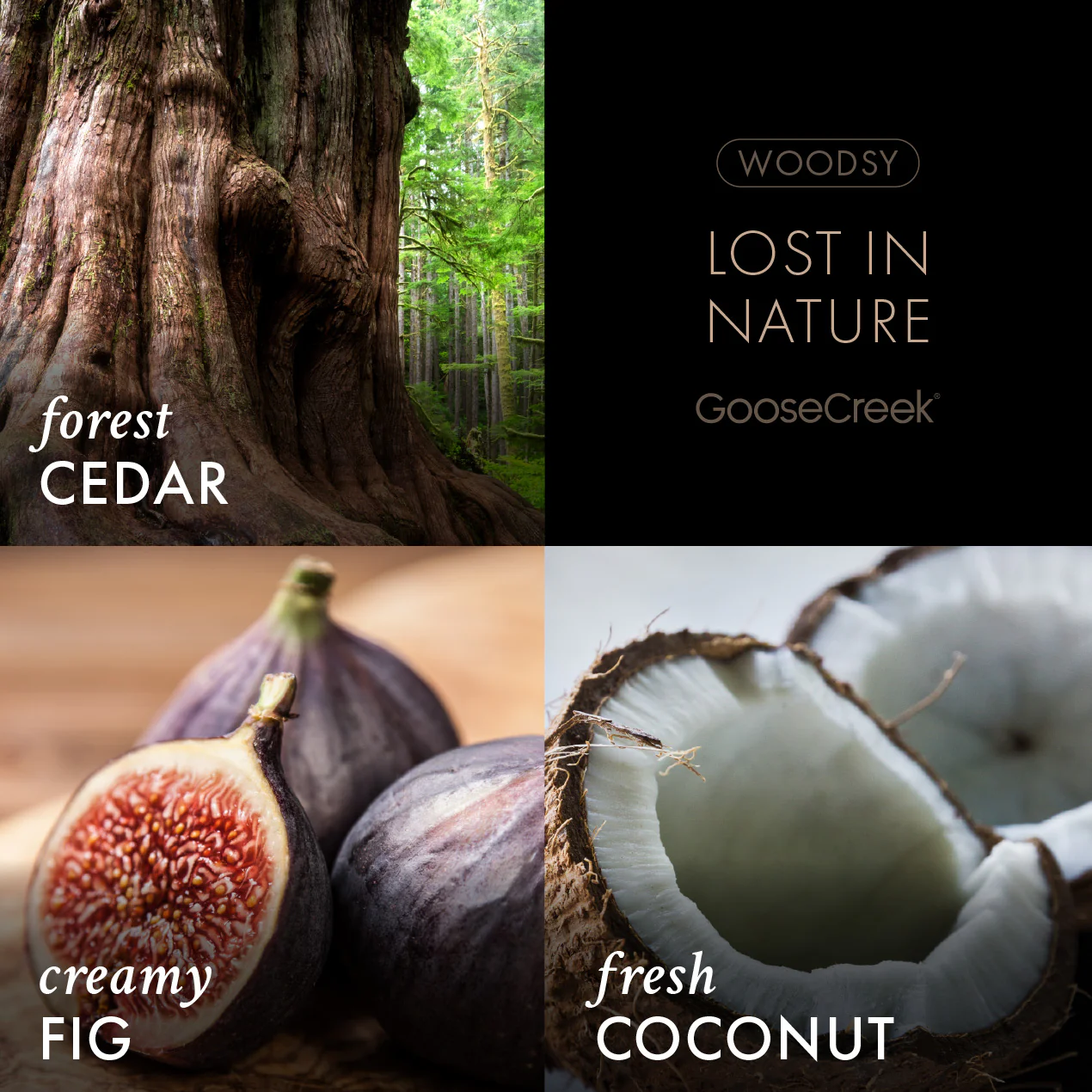 Lost In Nature - Fine Fragrance Body Mist - Image 2
