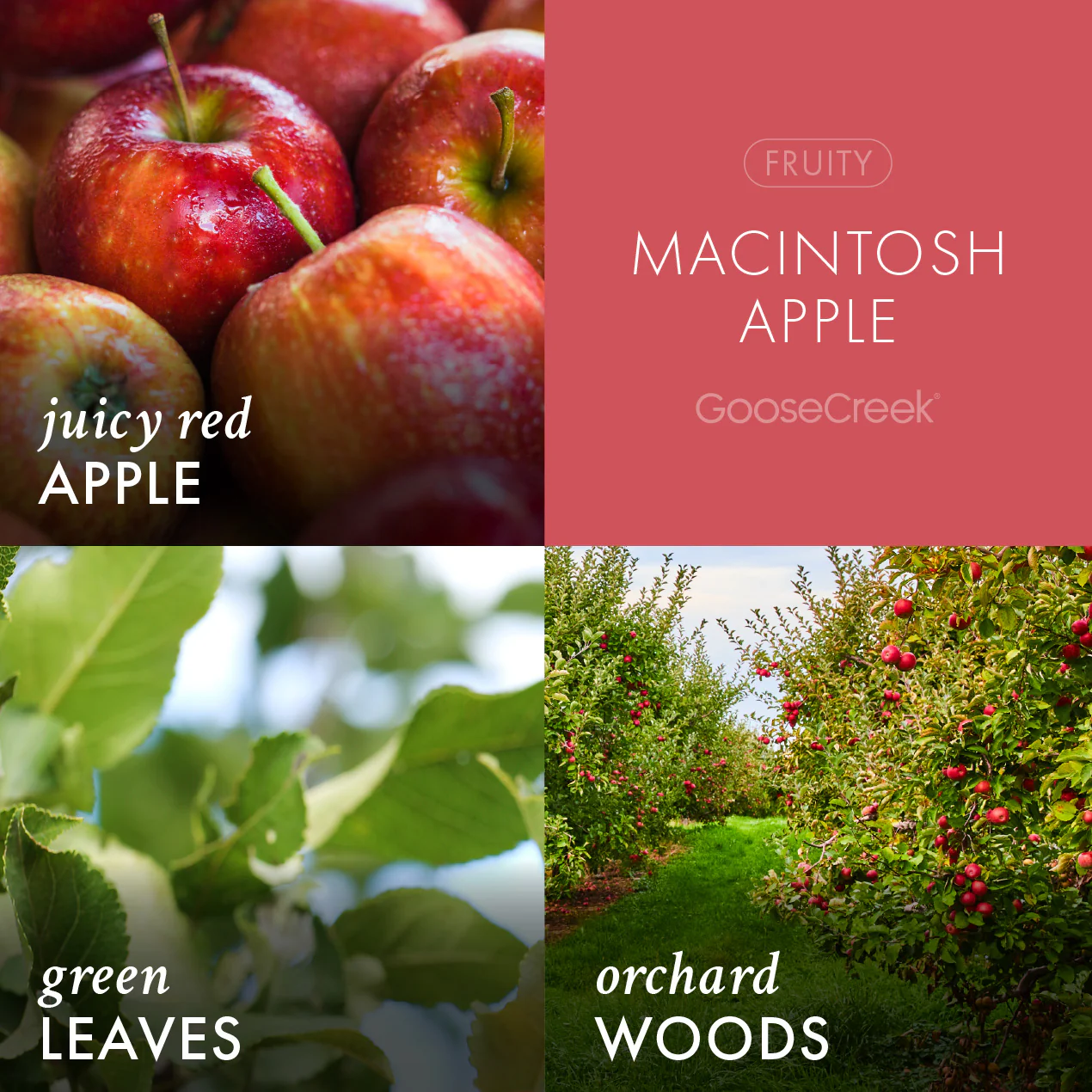 Macintosh Apple Wax Melt - Image 2
