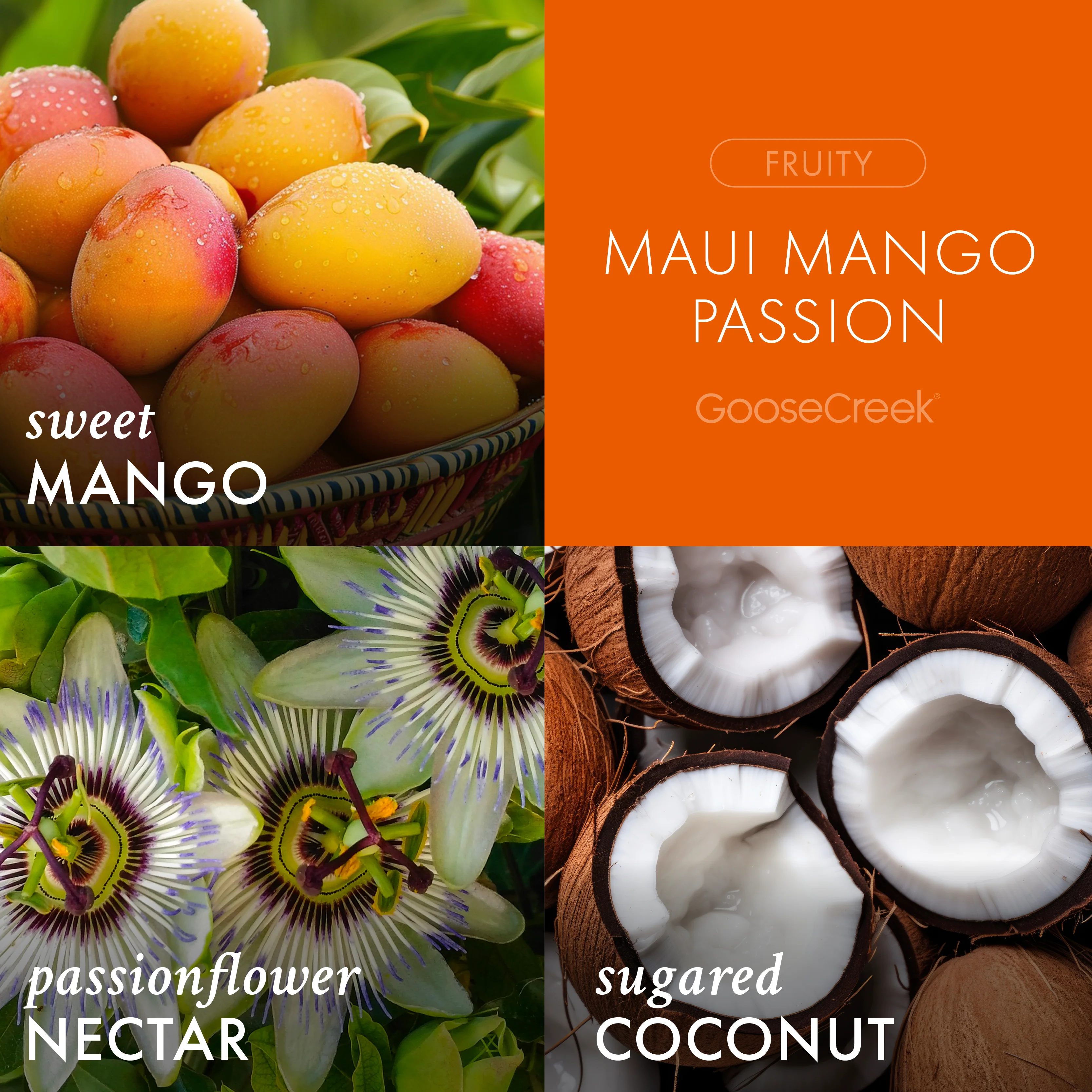 Maui Mango Passion 3-Wick Candle - Image 2