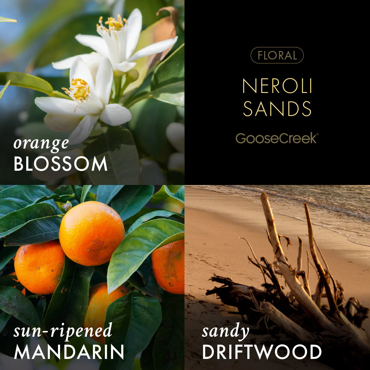 Neroli Sands 3-Wick Candle - Image 2
