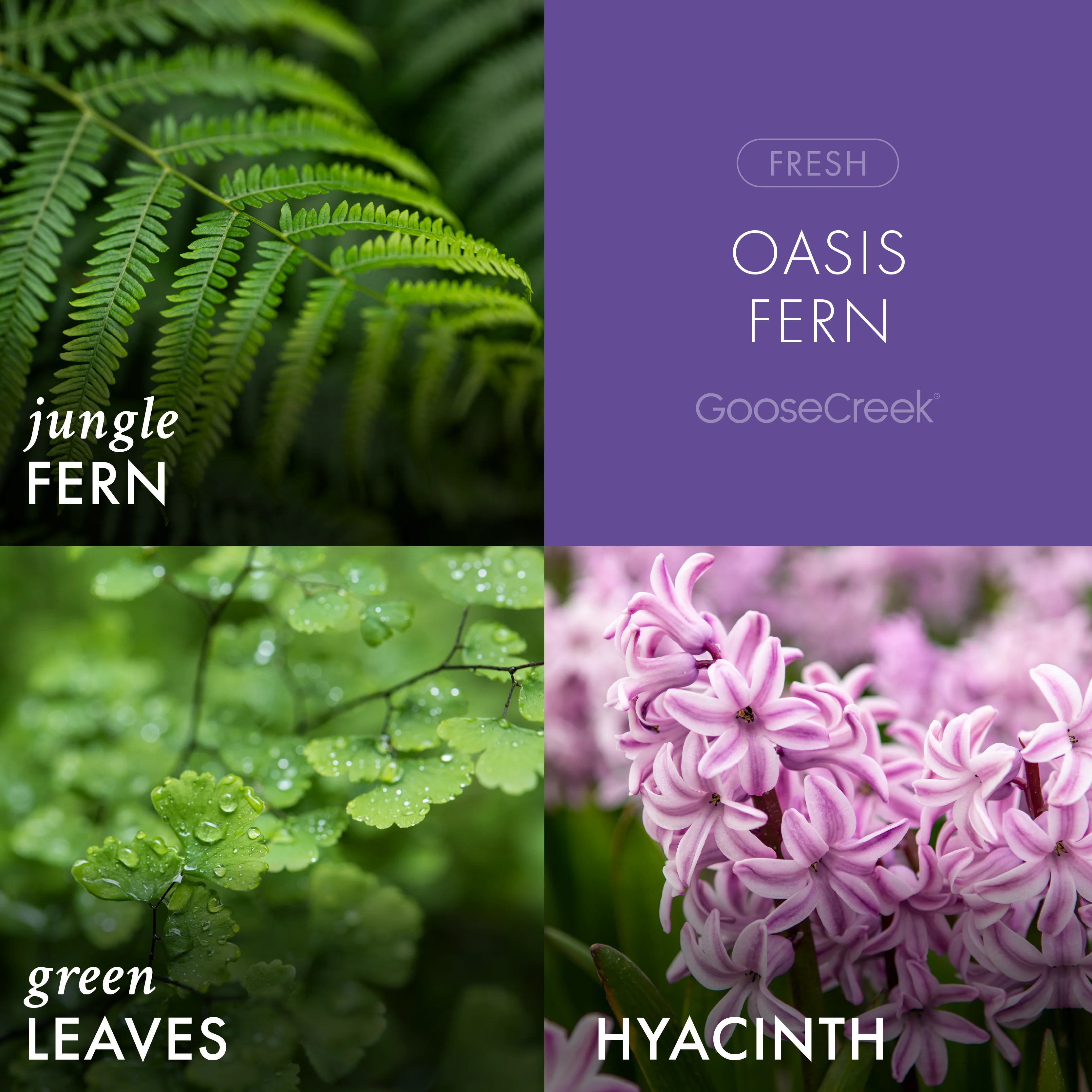 Oasis Fern 3-Wick Candle - Image 2