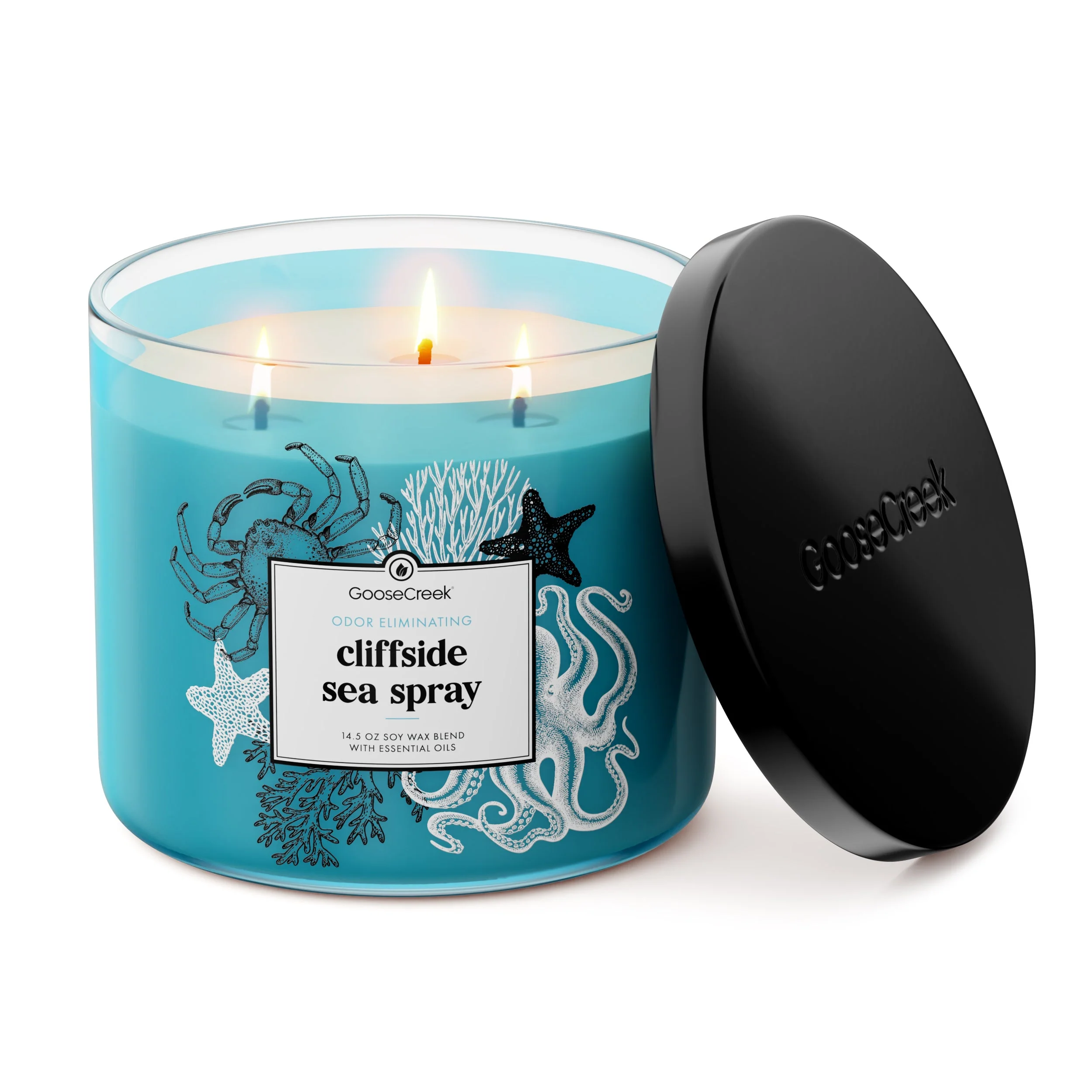 Cliffside Sea Spray Odor Eliminating 3-Wick Candle - Image 3
