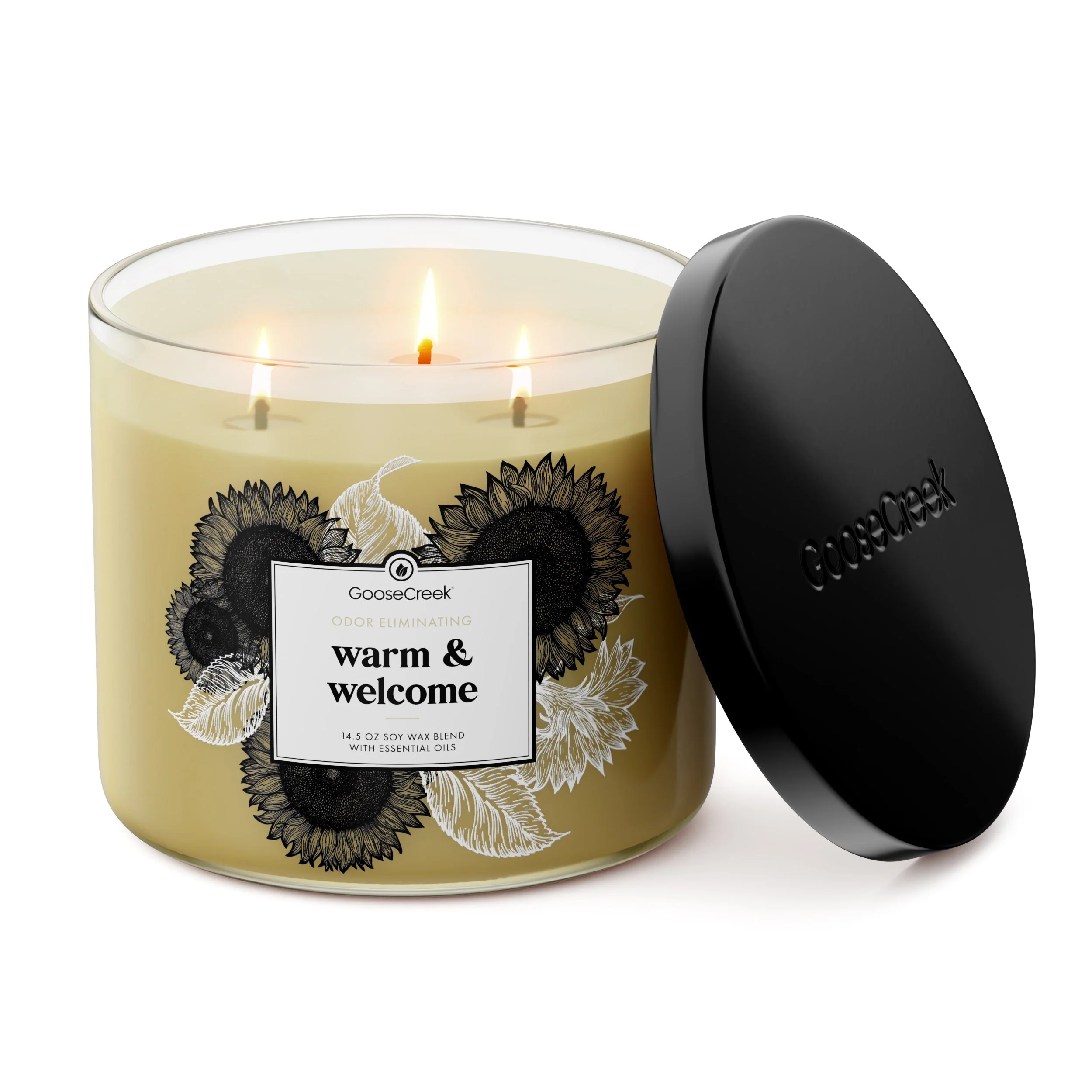 Warm & Welcome Odor Eliminating 3-Wick Candle - Image 3