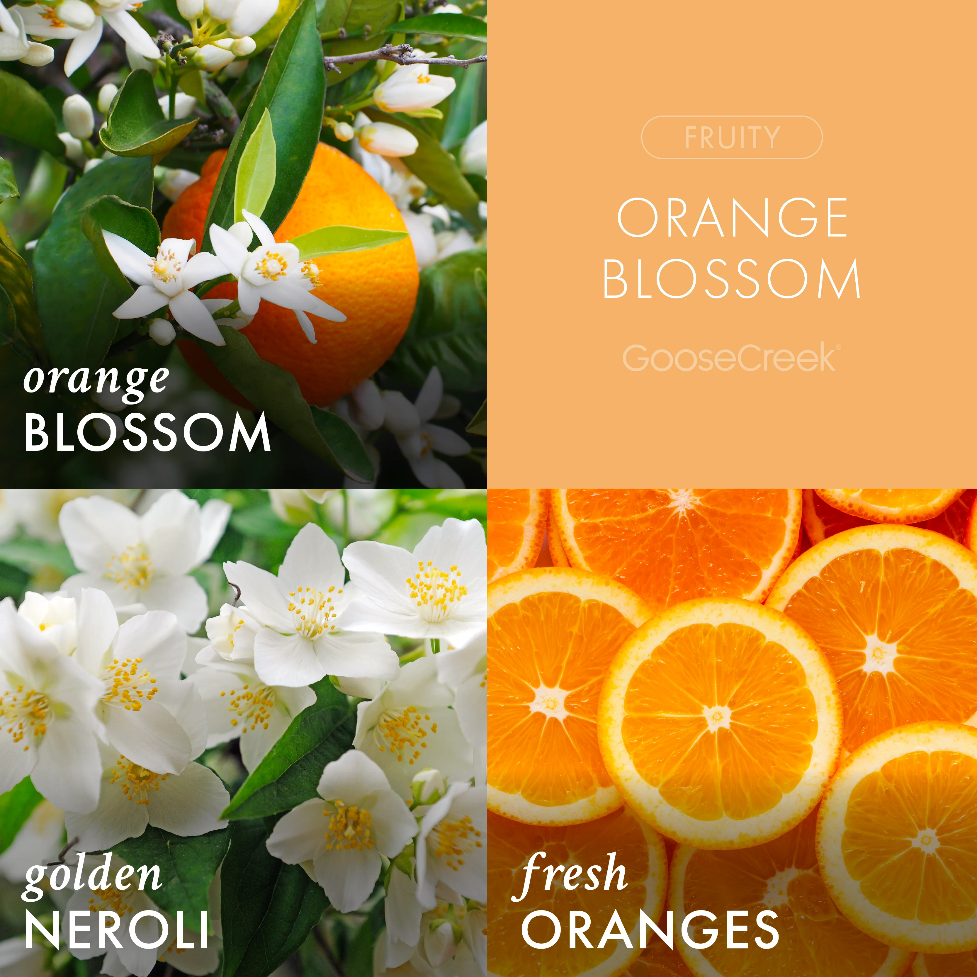 Orange Blossom 3-Wick Candle - Image 2