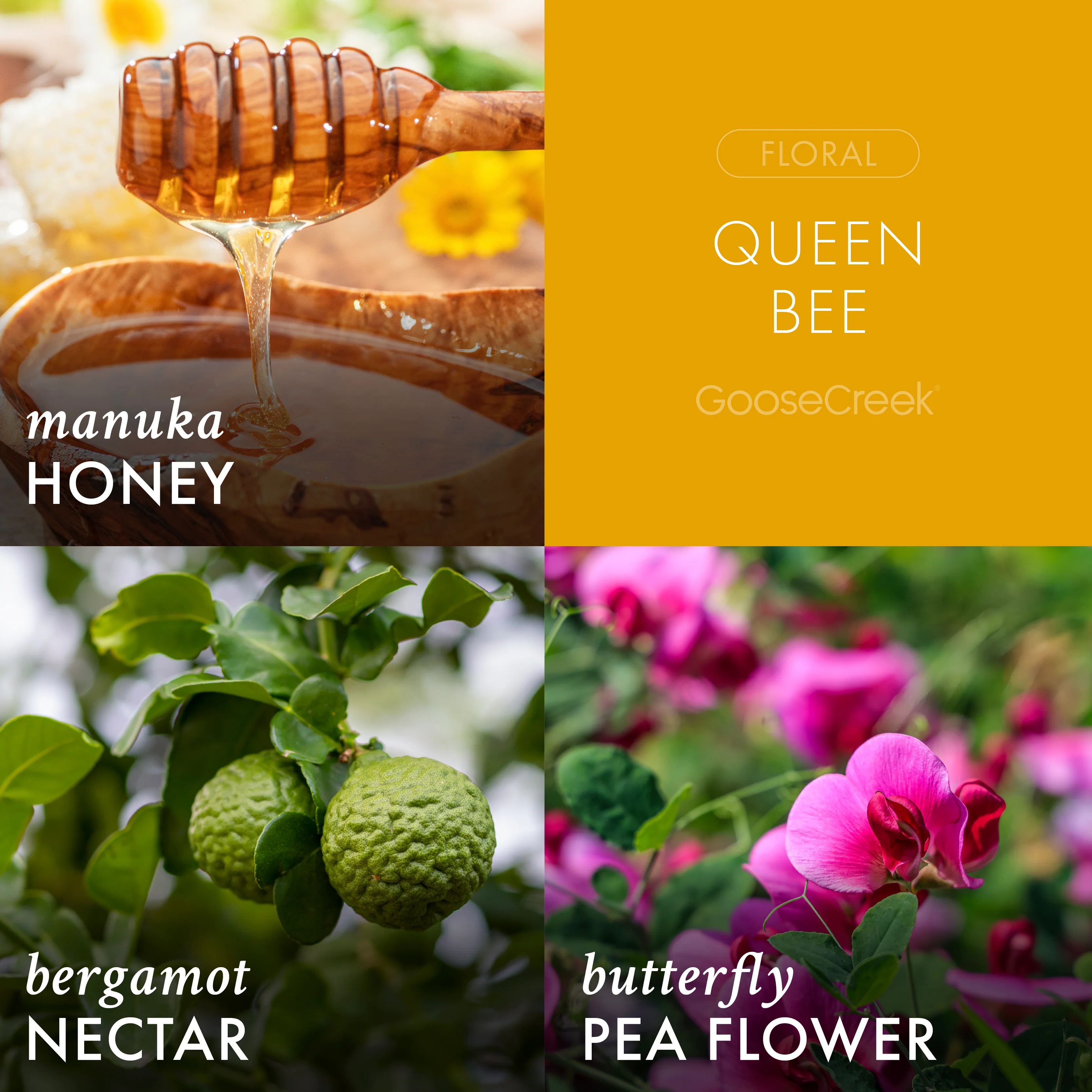 Queen Bee 3-Wick Candle - Image 2