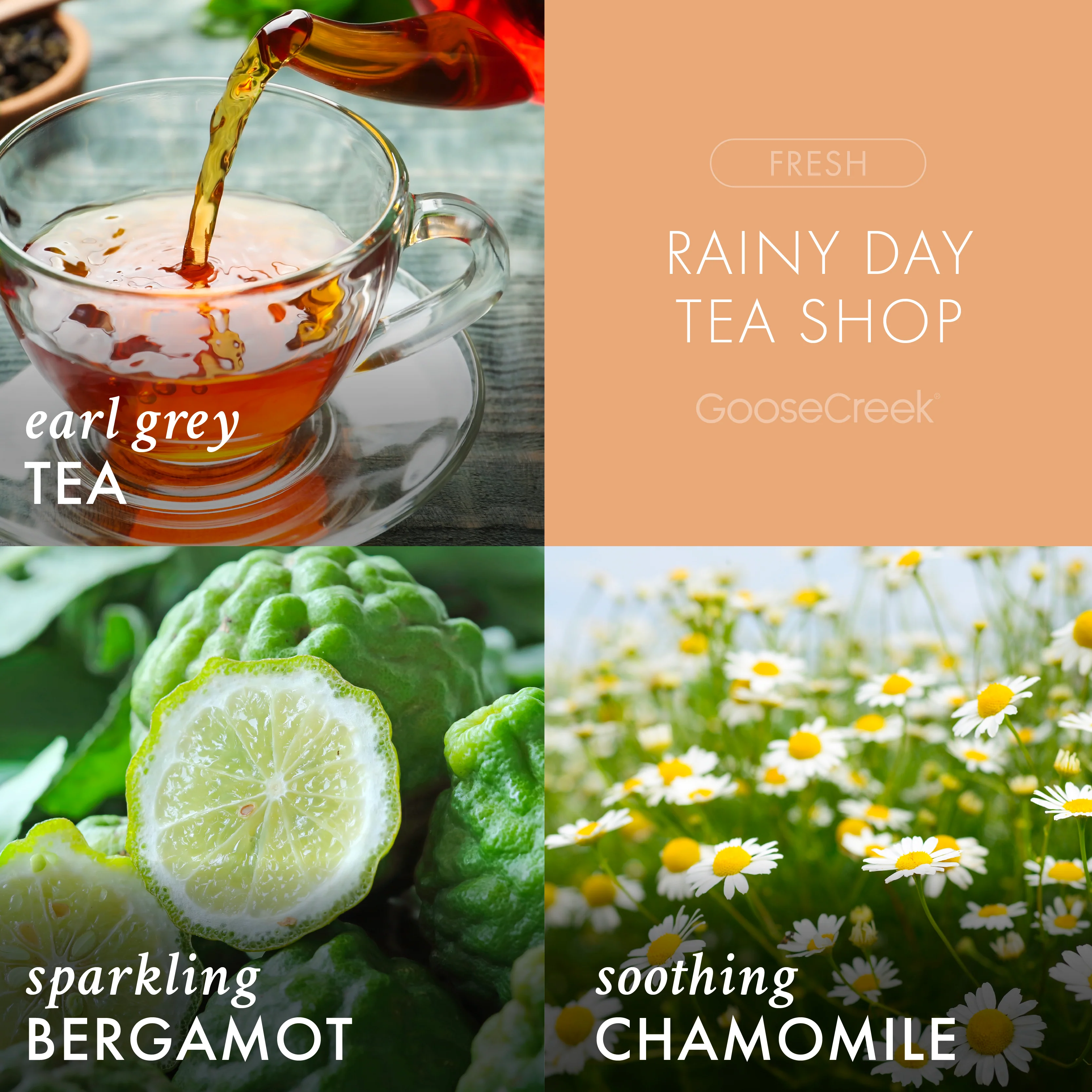 Rainy Day Tea Shop 3-Wick Candle - Image 2