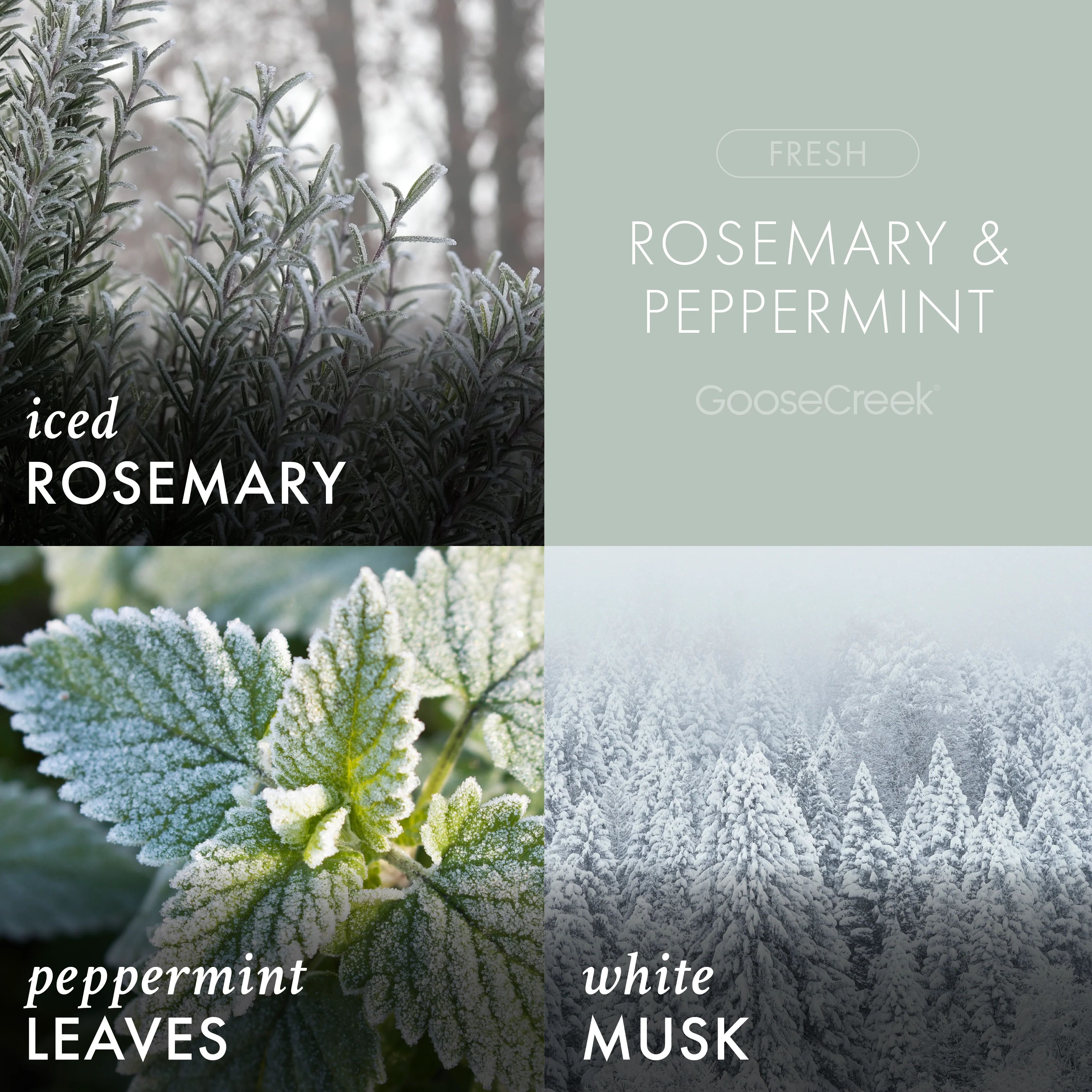 Rosemary & Peppermint Aromatherapy 3-Wick Candle - Image 2