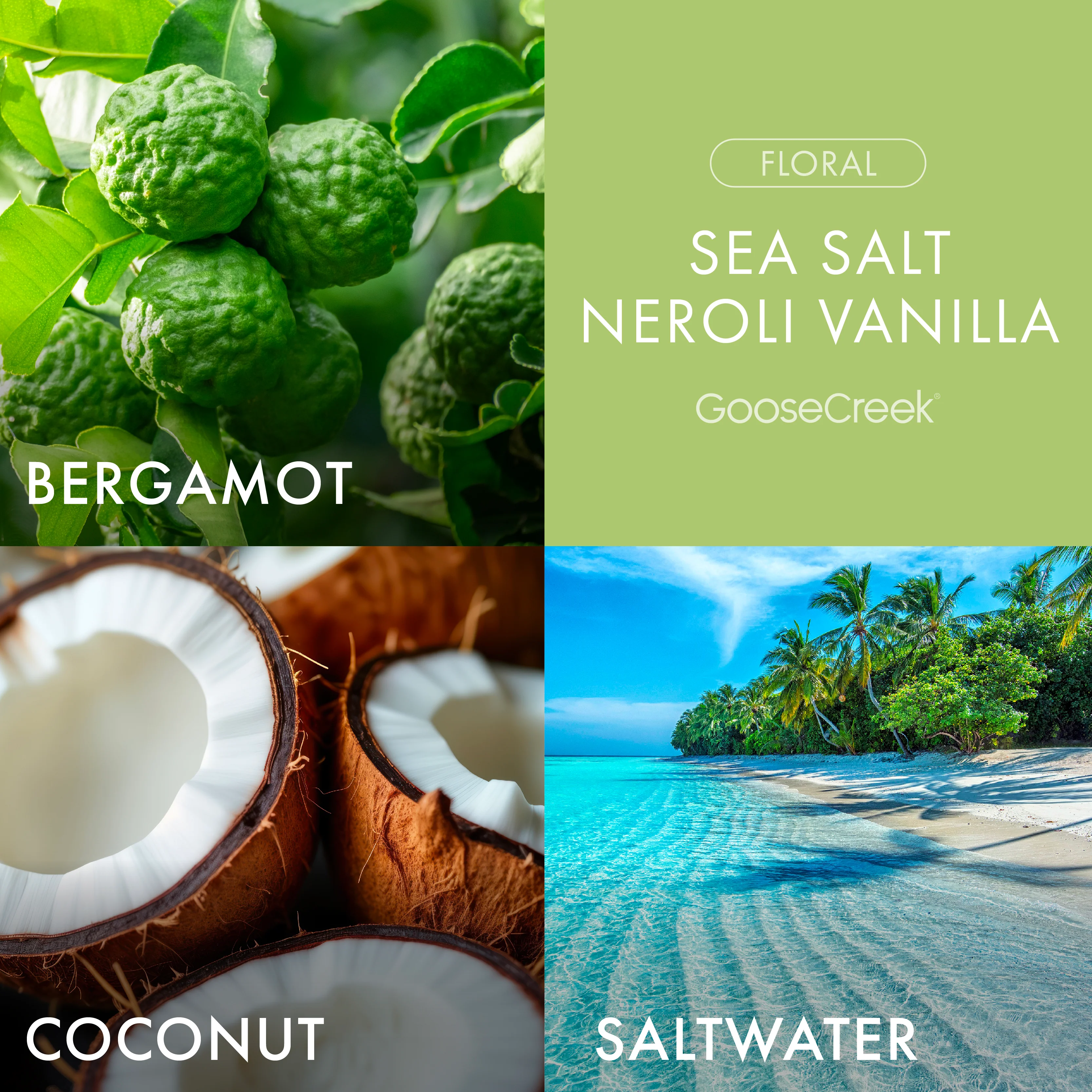 Sea Salt Neroli & Vanilla 3-Wick Candle - Image 2
