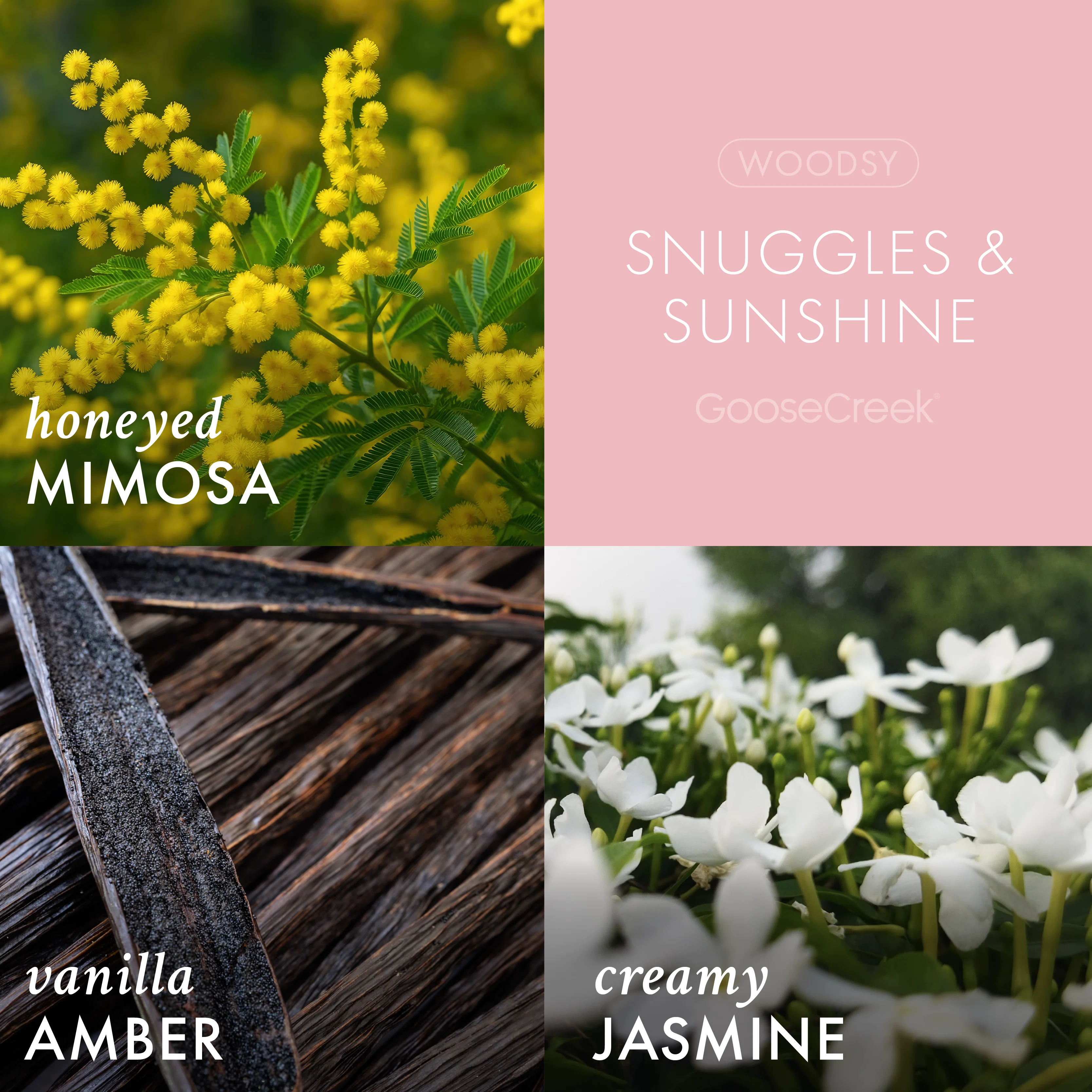 Snuggles & Sunshine 3-Wick Candle - Image 2
