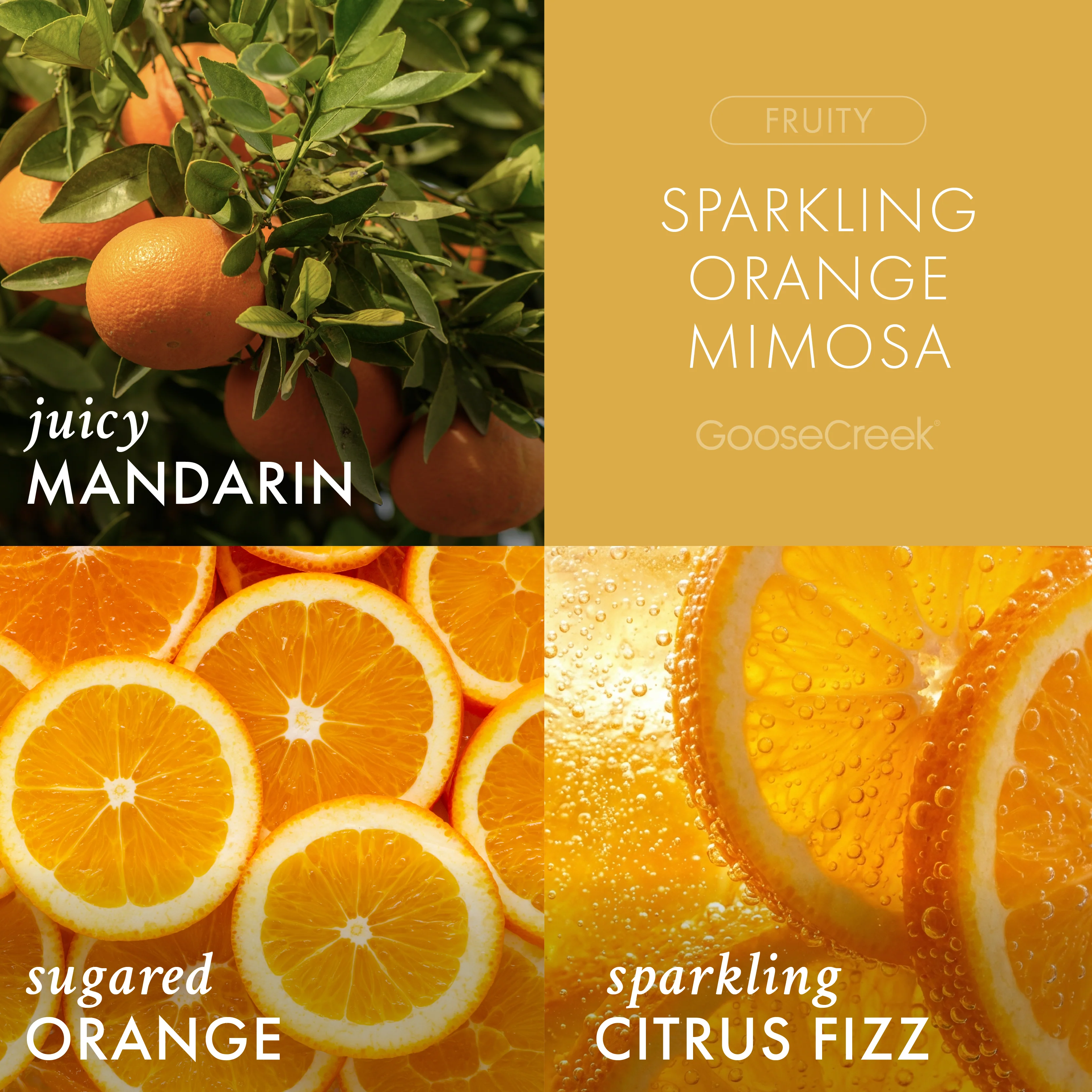 Sparkling Orange Mimosa 3-Wick Candle - Image 2