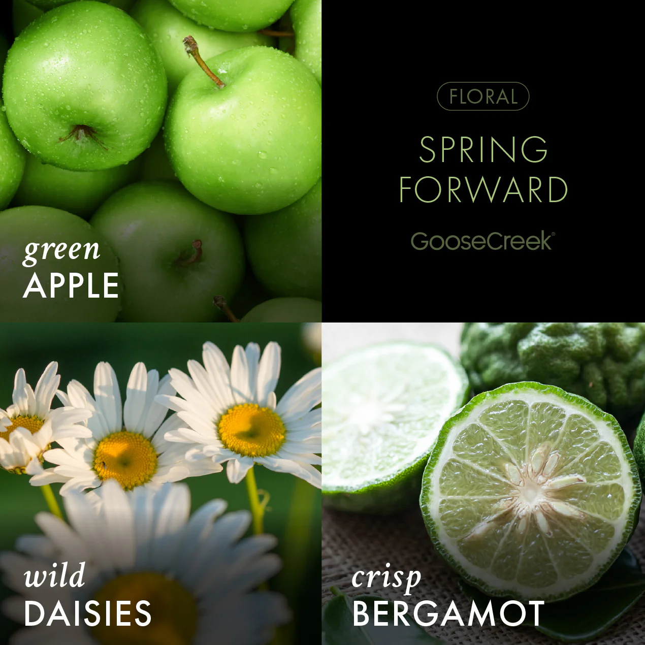 Spring Forward - Fine Fragrance Body Mist - Image 2