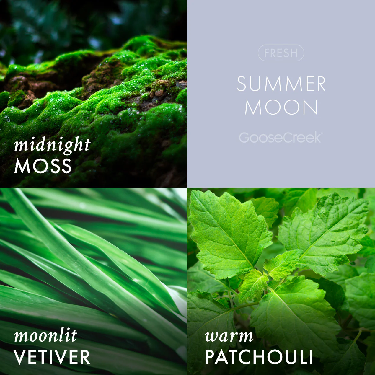 Summer Moon Wax Melt - Image 2