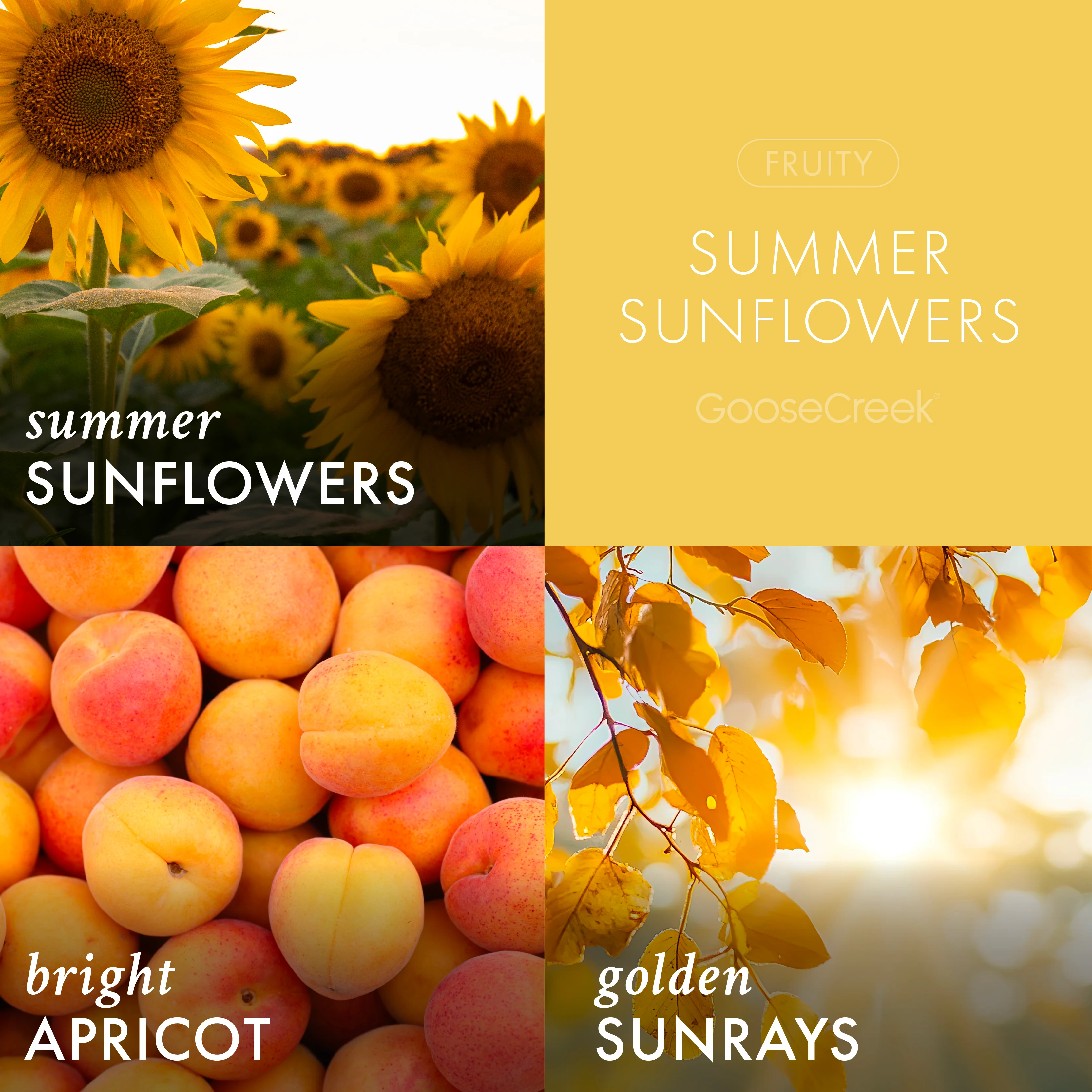 Summer Sunflowers 3-Wick Candle - Image 2