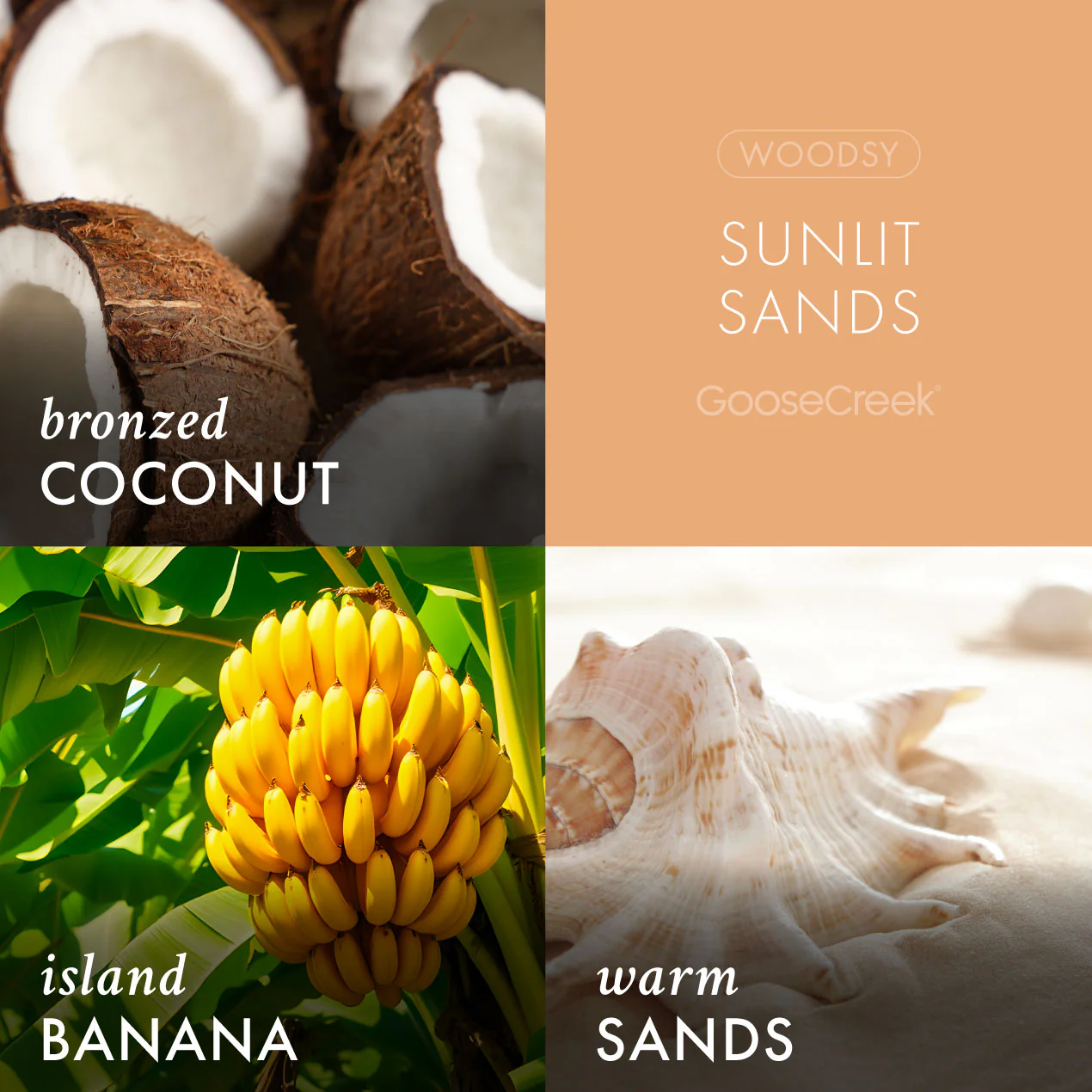 Sunlit Sands Wax Melt - Image 2