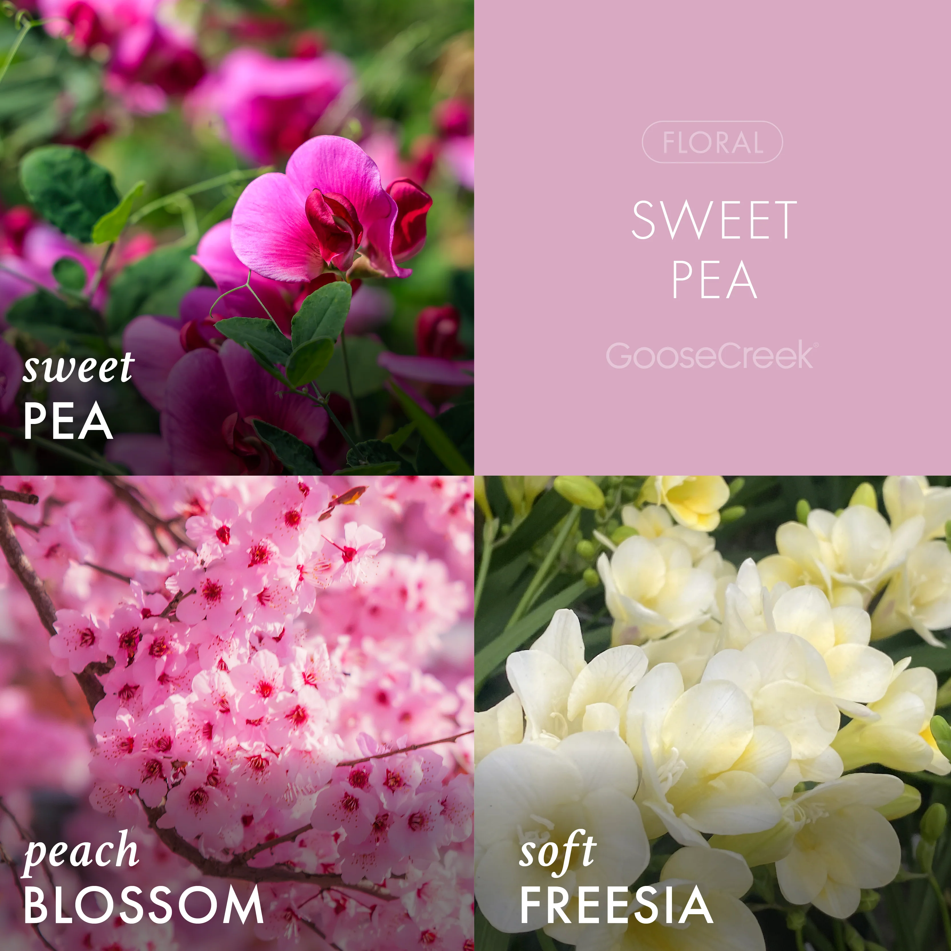 Sweet Pea Large 3-Wick Candle - Image 2