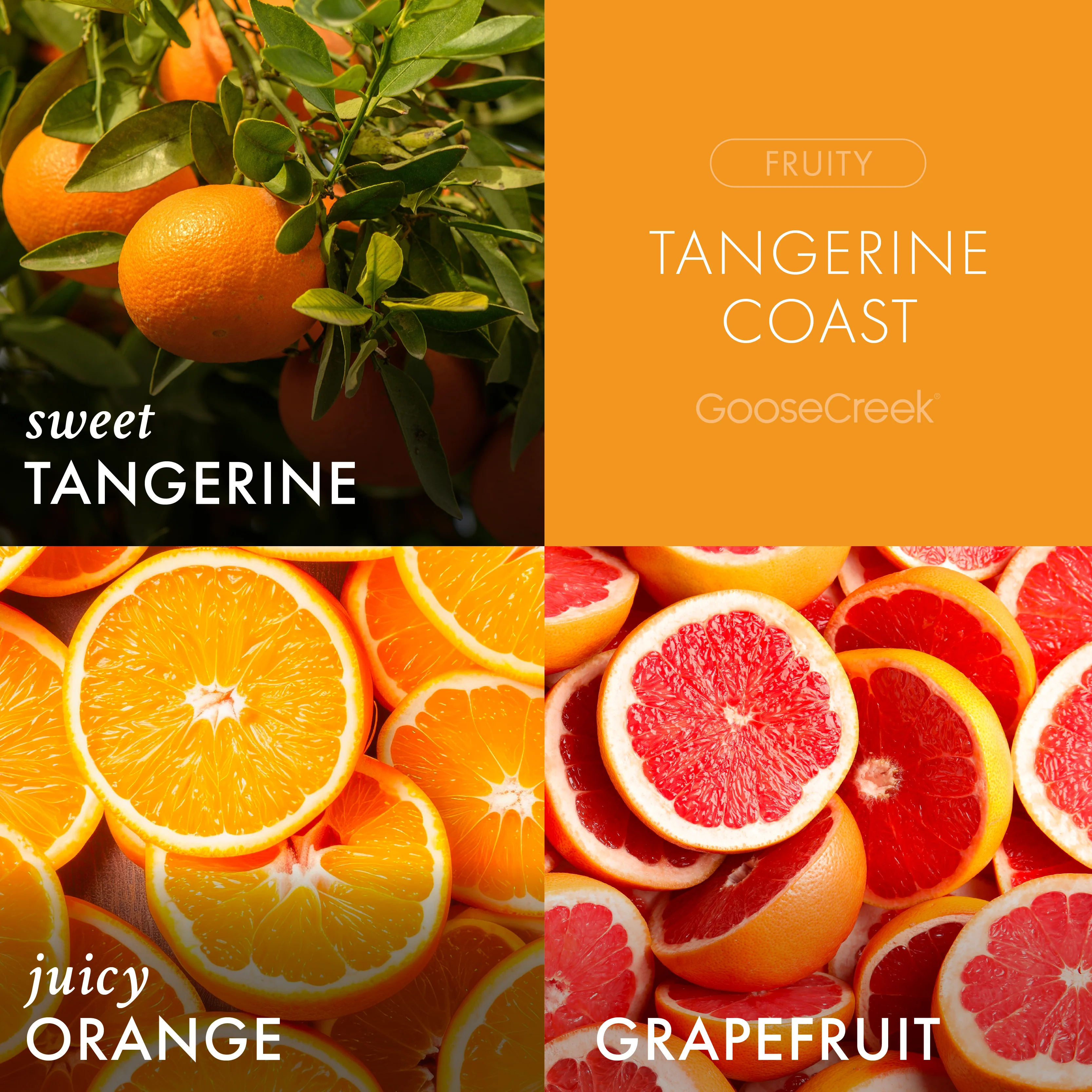 Tangerine Coast 3-Wick Candle - Image 2