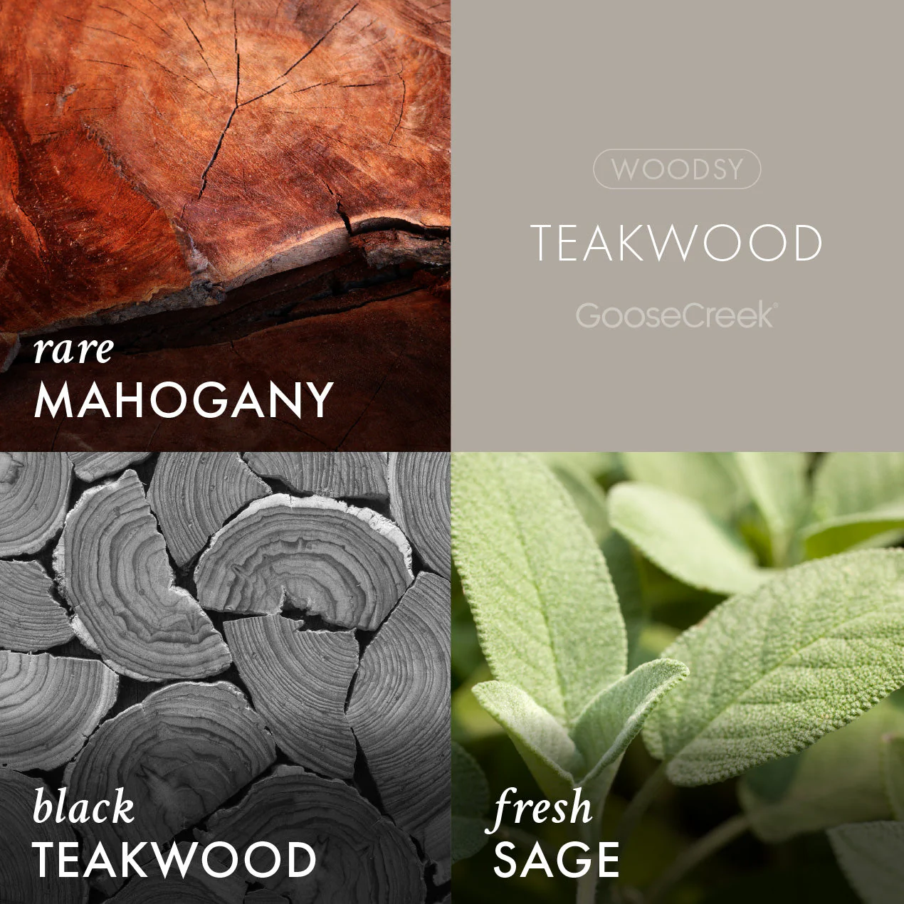 Teakwood Wax Melt - Image 2
