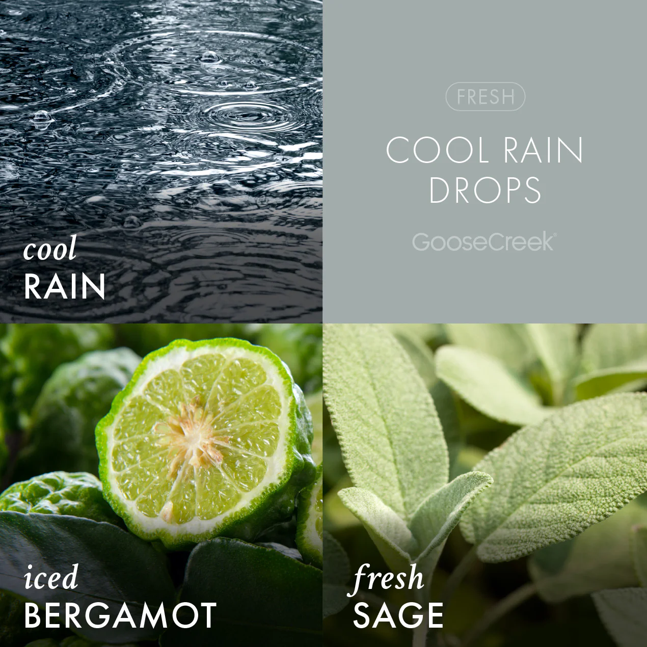 Odor Eliminating Cool Rain Drops Plug-in & Refill Bundle - Image 3