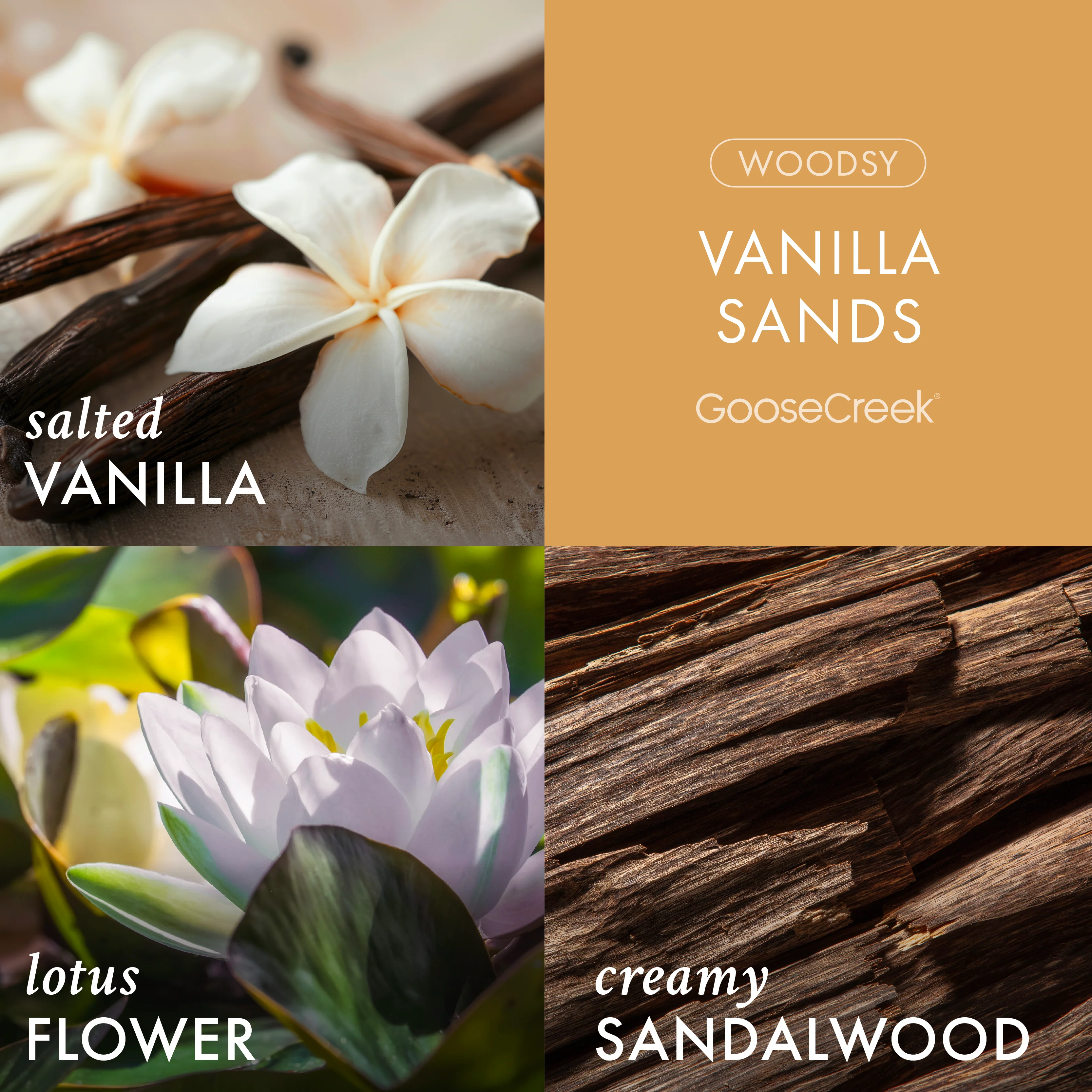 Vanilla Sands 3-Wick Candle - Image 2