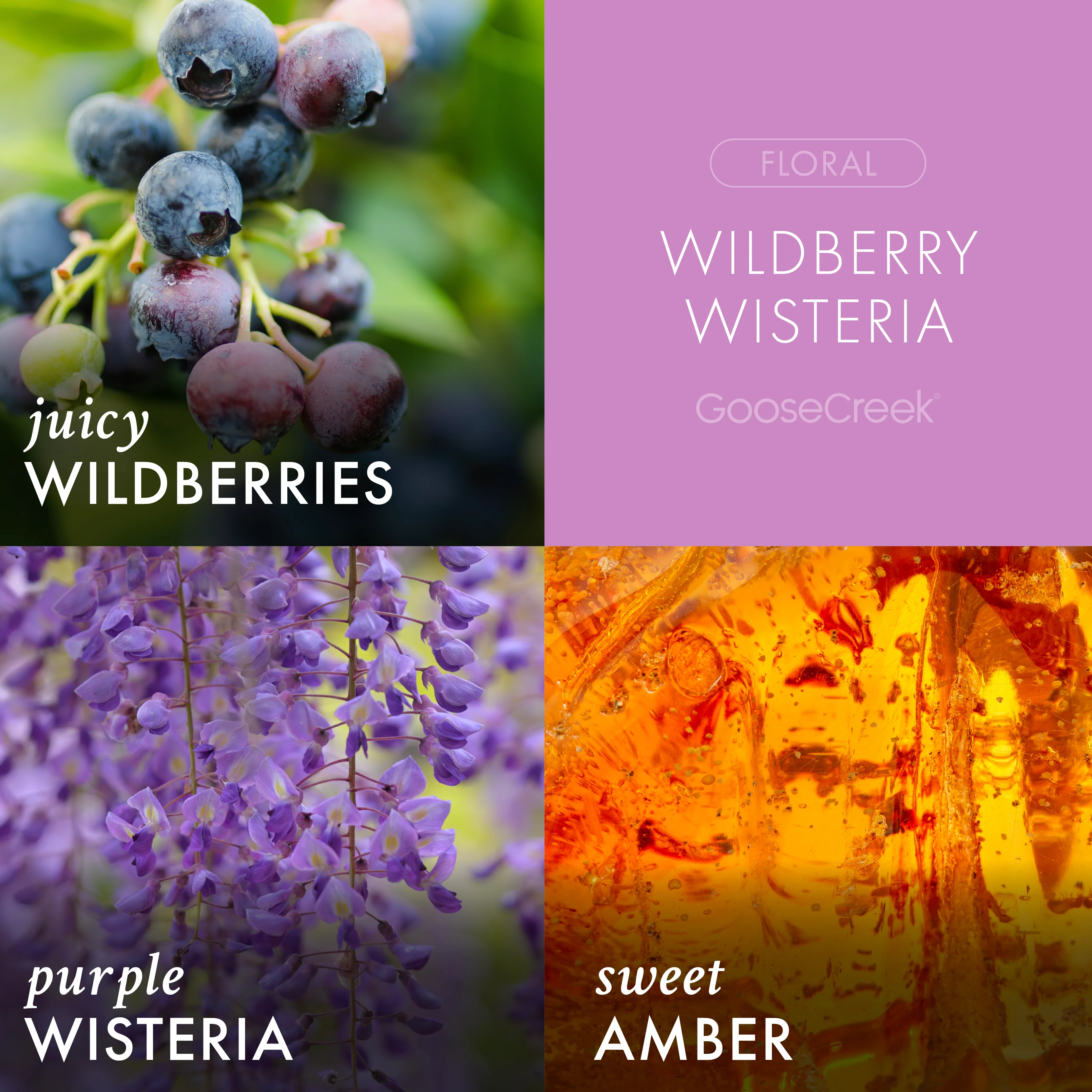 Wildberry Wisteria 3-Wick Candle - Image 2