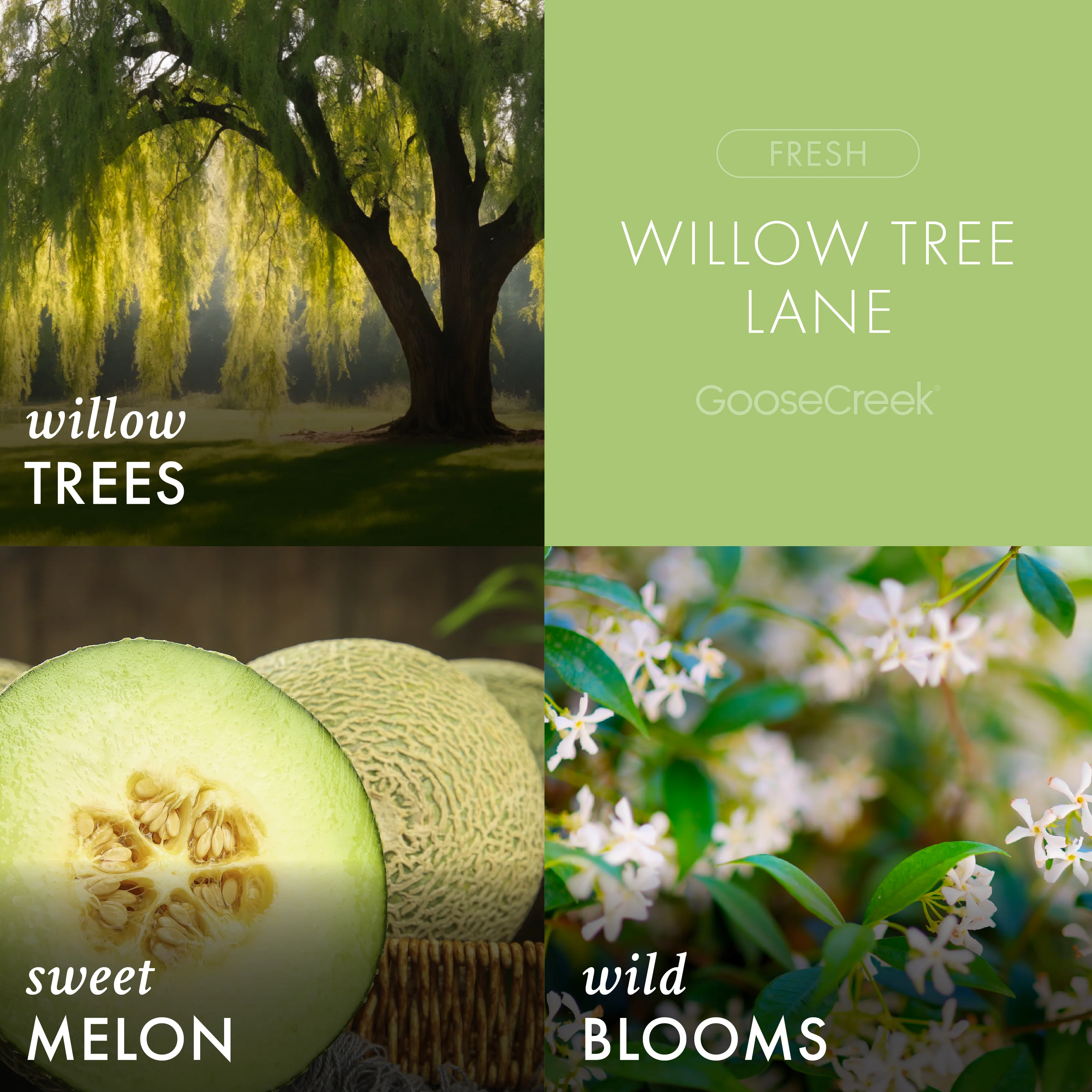 Willow Tree Lane 3-Wick Candle - Image 2