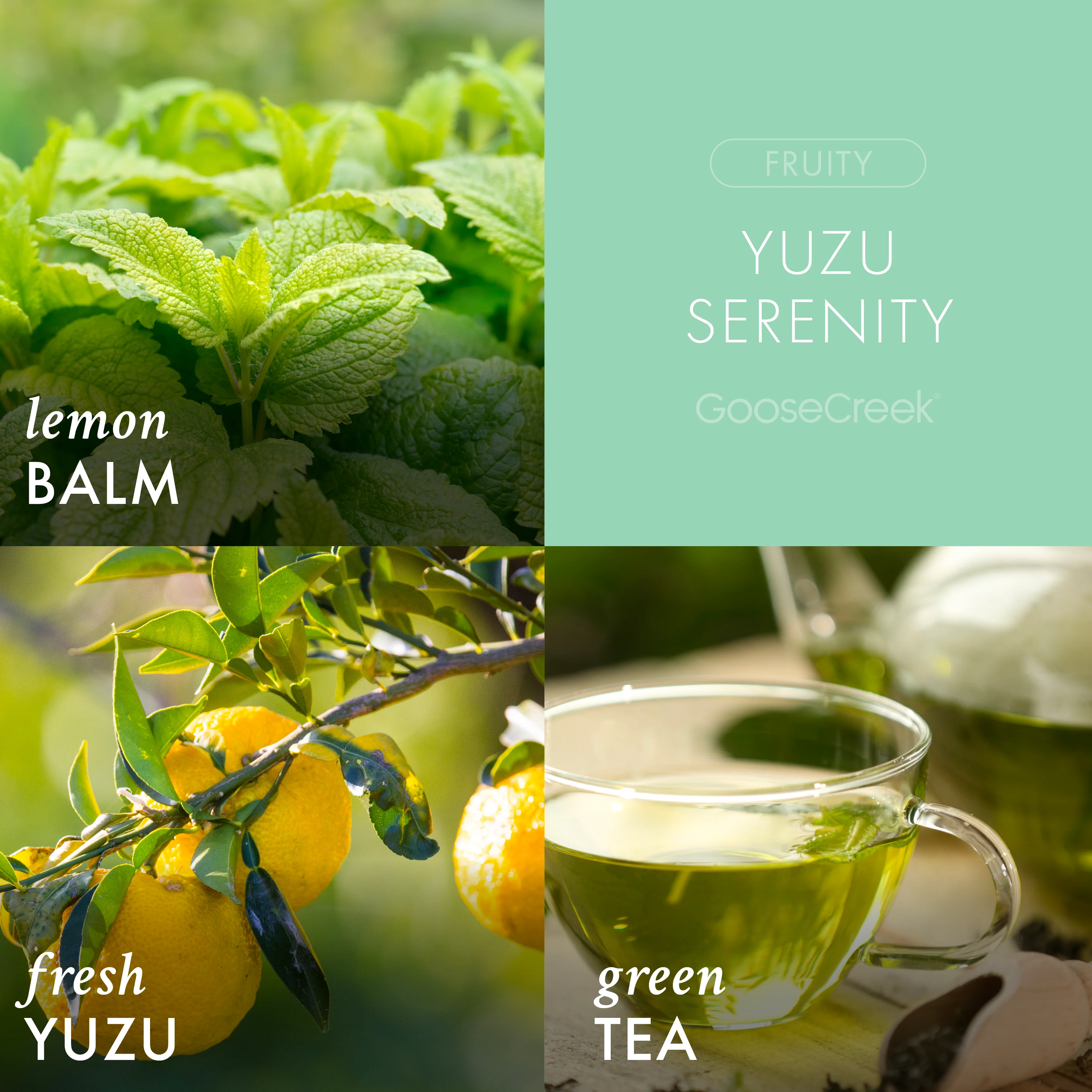 Yuzu Serenity 3-Wick Candle - Image 2
